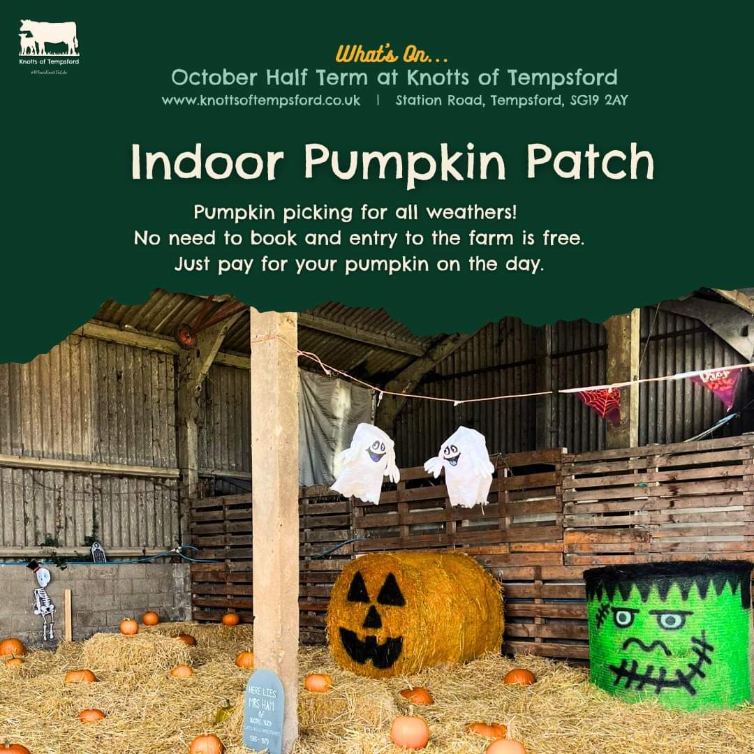 🐷 FREE ENTRY HALF TERM HALLOWEEN 2024 - Knotts of Tempsford at Knotts of Tempsford, Station Road, Tempsford, SG19 2AY | Advance Booking, Animals, Attractions, Baby/Toddlers, Family, Food/Drink, Free Entry, Fun, Kids, Outdoor, Play Area, Seasonal, Tickets | Suitable for: Children, Family, Toilets, Free Parking, Parking Onsite 🐷 FREE ENTRY HALF TERM HALLOWEEN 2024 - Knotts of Tempsford - Event Image 3 October 30, 2024 09:00 AM