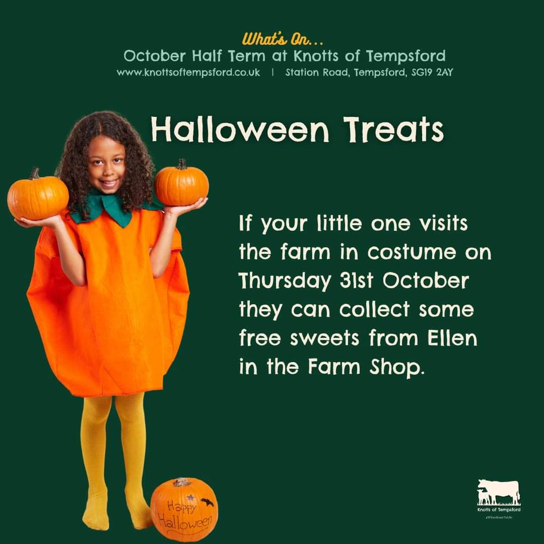🐷 FREE ENTRY HALF TERM HALLOWEEN 2024 - Knotts of Tempsford at Knotts of Tempsford, Station Road, Tempsford, SG19 2AY | Advance Booking, Animals, Attractions, Baby/Toddlers, Family, Food/Drink, Free Entry, Fun, Kids, Outdoor, Play Area, Seasonal, Tickets | Suitable for: Children, Family, Toilets, Free Parking, Parking Onsite 🐷 FREE ENTRY HALF TERM HALLOWEEN 2024 - Knotts of Tempsford - Event Image 5 October 30, 2024 09:00 AM