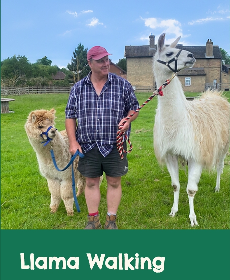 🐷 FREE ENTRY FARM - Knotts of Tempsford 2025 at Knotts of Tempsford, Station Road, Tempsford, SG19 2AY | Advance Booking, Animals, Attractions, Baby/Toddlers, Family, Food/Drink, Free Entry, Fun, Kids, Outdoor, Play Area, Seasonal, Tickets | Suitable for: Children, Family, Toilets, Free Parking, Parking Onsite 🐷 FREE ENTRY FARM - Knotts of Tempsford 2025 - Event Image 4 January 11, 2025 09:00 AM