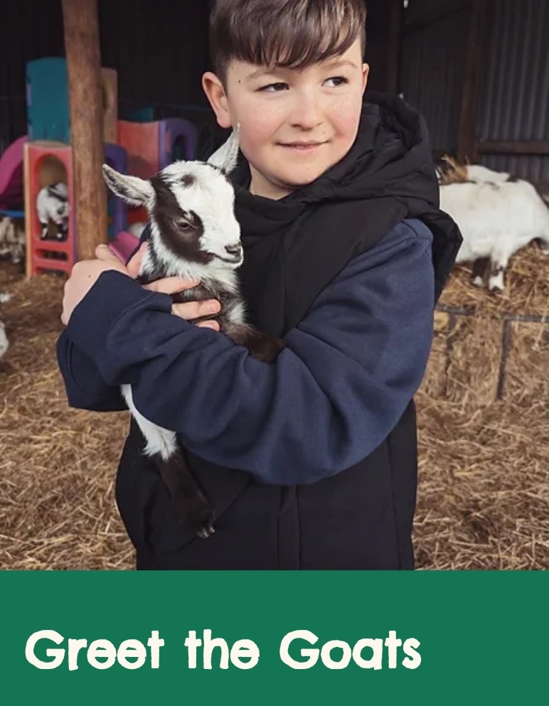 🐷 FREE ENTRY FARM - Knotts of Tempsford 2025 at Knotts of Tempsford, Station Road, Tempsford, SG19 2AY | Advance Booking, Animals, Attractions, Baby/Toddlers, Family, Food/Drink, Free Entry, Fun, Kids, Outdoor, Play Area, Seasonal, Tickets | Suitable for: Children, Family, Toilets, Free Parking, Parking Onsite 🐷 FREE ENTRY FARM - Knotts of Tempsford 2025 - Event Image 5 January 11, 2025 09:00 AM