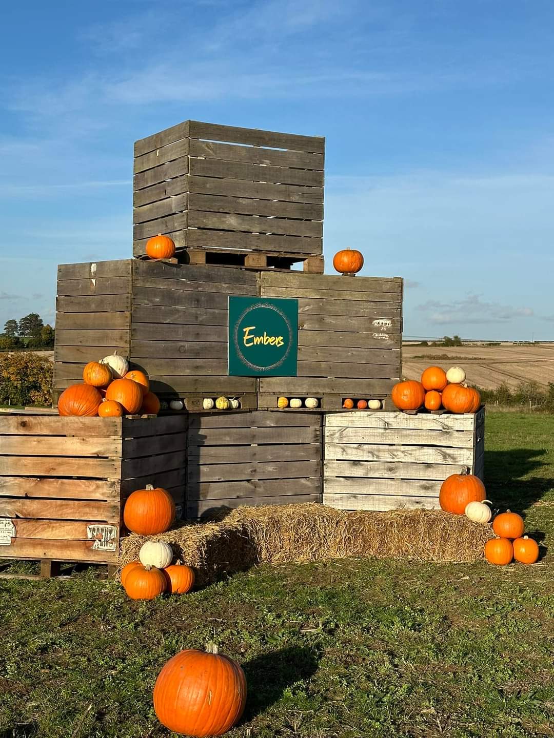 🎃 Embers Pumpkin Patch 2024 Clifton Reynes, Olney   - Event Image 2 October 25, 2024 09:30 AM