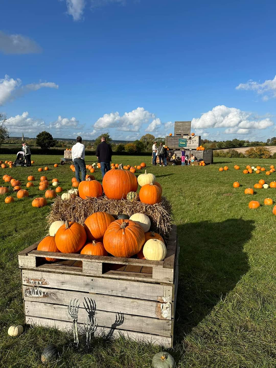🎃 Embers Pumpkin Patch 2024 Clifton Reynes, Olney   - Event Image 5 October 25, 2024 09:30 AM