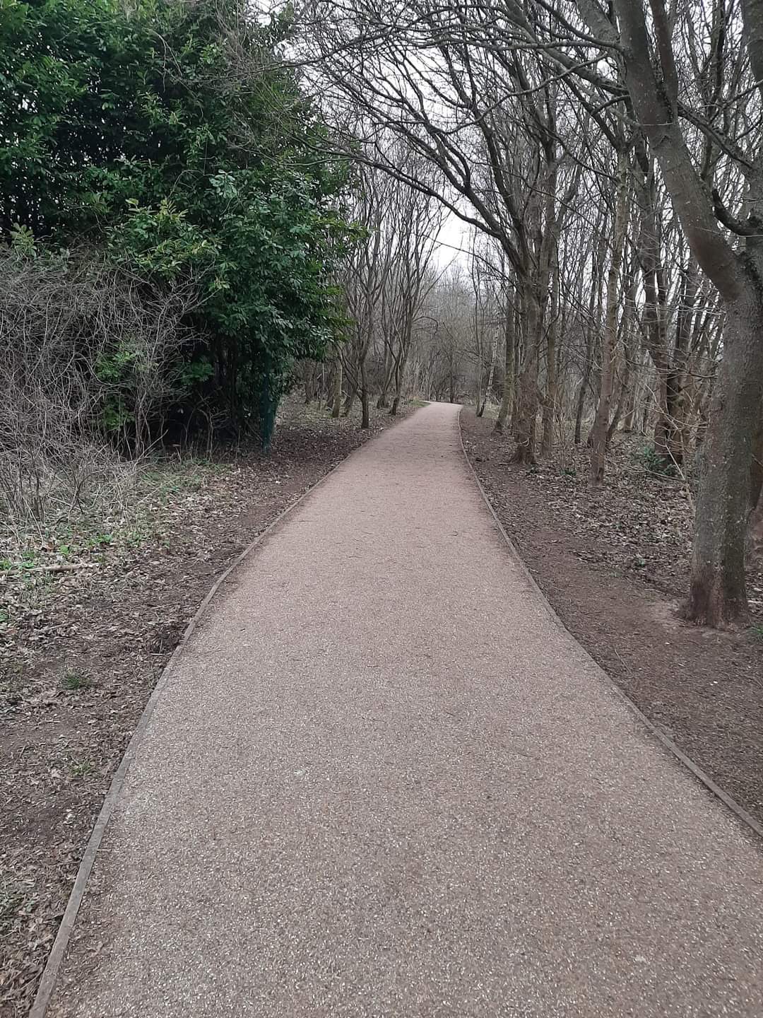 🔎 FREE HALLOWEEN XPLORER AT HOUGHTON HALL PARK at Houghton Hall Park, Park Rd N, Houghton Regis, Dunstable, Bedfordshire LU5 5FU | Family, Food/Drink, Free Entry, Fun, Kids, Outdoor, Parks, Play Area | Suitable for: Accessible, Blue Badge Parking, Children, Family, Parking Onsite, Toilets, Wheelchair Friendly 🔎 FREE HALLOWEEN XPLORER AT HOUGHTON HALL PARK - Event Image 3 October 29, 2024 11:00 AM