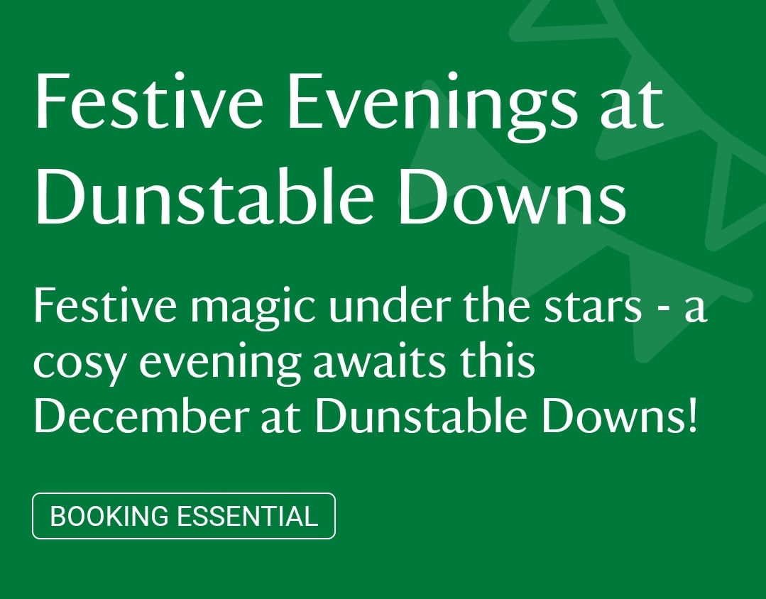 ✨️ Festive Evenings at Dunstable Downs 2024 at Dunstable Downs National Trust Visitor Centre - Dunstable Downs and Whipsnade, Whipsnade Road, Dunstable, Bedfordshire, LU6 2GY | Adults, Advance Booking, Attractions, Baby/Toddlers, Date Idea, Entertainment, Family, Food/Drink, Fun, Kids, Music, Nightlife, Parks, Scenic, Seasonal, Teens, Ticket Event, Christmas | Suitable for: Accessible, Blue Badge Parking, Children, Dog Friendly, Family, Toilets, Wheelchair Friendly ✨️ Festive Evenings at Dunstable Downs 2024 - Event Image 2 December 06, 2024 05:00 PM