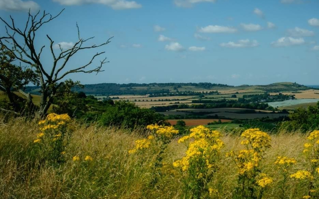 🧑🎄 Dunstable Downs Festive Lunch 2024 at Whipsnade Road, Dunstable, Bedfordshire, LU6 2GY | Adults, Advance Booking, Annual, Food/Drink, Kids, Scenic, Seasonal, Social, Christmas | Suitable for: Accessible, Children, Family, Parking Onsite, Toilets, Wheelchair Friendly, Dog Friendly 🧑🎄 Dunstable Downs Festive Lunch 2024 - Event Image 4 December 18, 2024