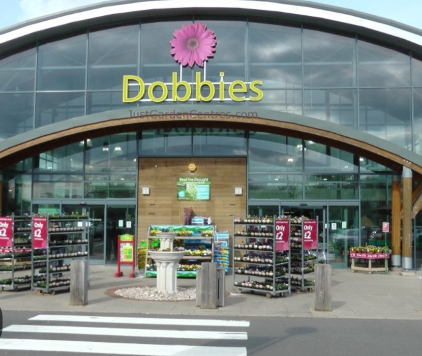 🎅 FREE FESTIVE EVENT - Santa’s Arrival at Dobbies Garden Centre in Milton Keynes 2024 (tickets needed) - Event Image 2 November 24, 2024 11:00 AM