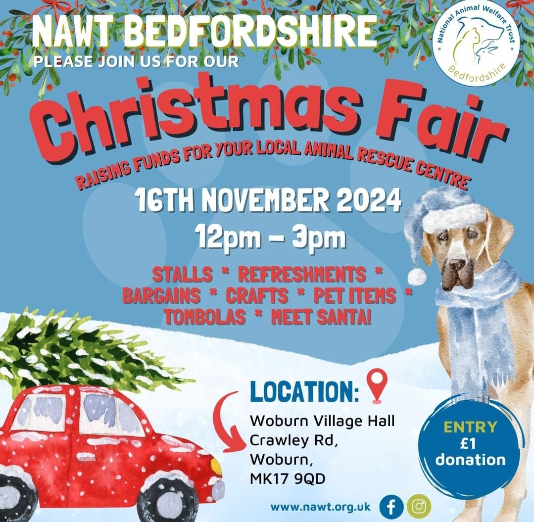 🛍 Christmas Craft Fair in Woburn at Woburn Village Hall, Crawley Rd, Woburn, Milton Keynes MK17 9QD
| Adults, Craft Fair, Family, Food/Drink, Indoor, Play Area, Recurring, Baby/Toddlers, Charity, Kids, Seasonal, Christmas | Suitable for: Accessible, Children, Family, Free Parking, Parking Onsite, Toilets, Wheelchair Friendly, Dog Friendly 🛍 Christmas Craft Fair in Woburn - Event Image 2 November 17, 2024 12:00 PM
