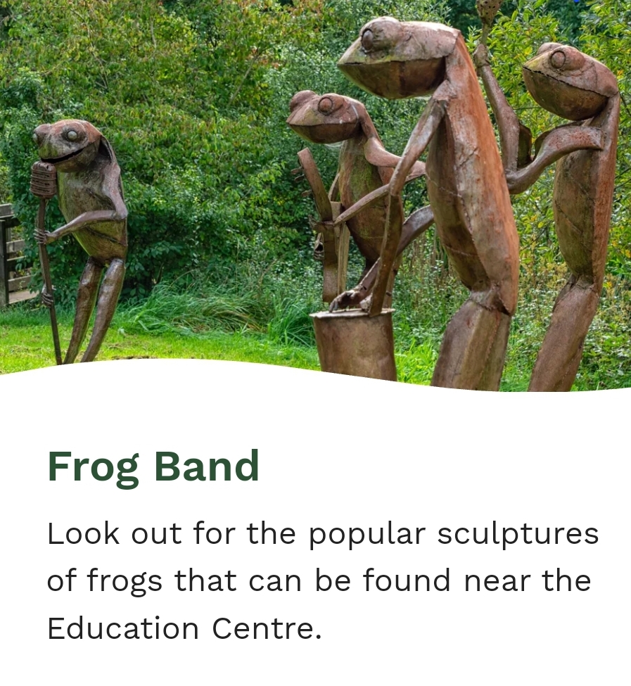 🌳 Tree Tots at Howe Park Wood, Milton Keynes       - Event Image 2 June 26, 2025 10:00 AM