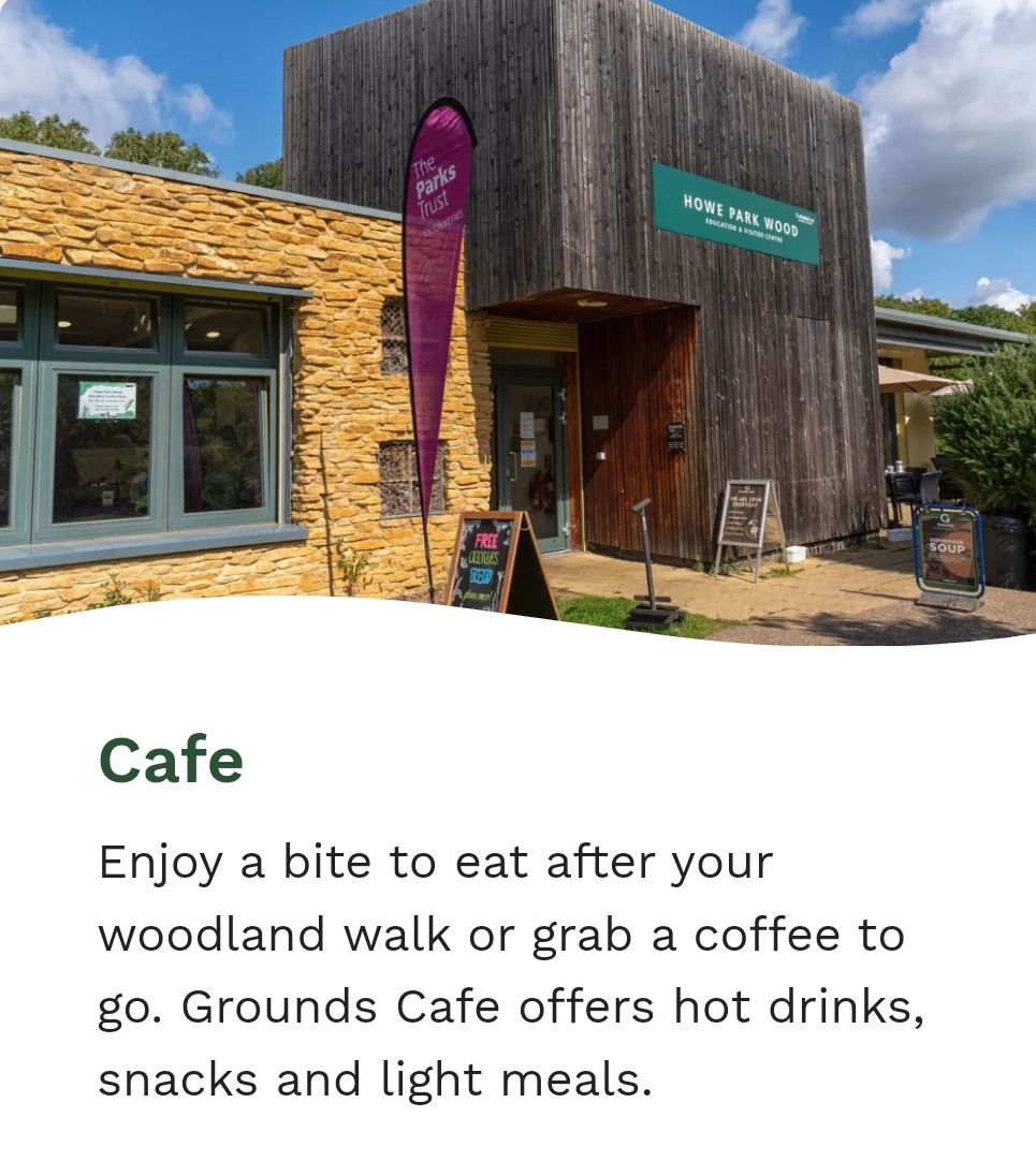 🌳 Tree Tots at Howe Park Wood, Milton Keynes       - Event Image 3 June 26, 2025 10:00 AM