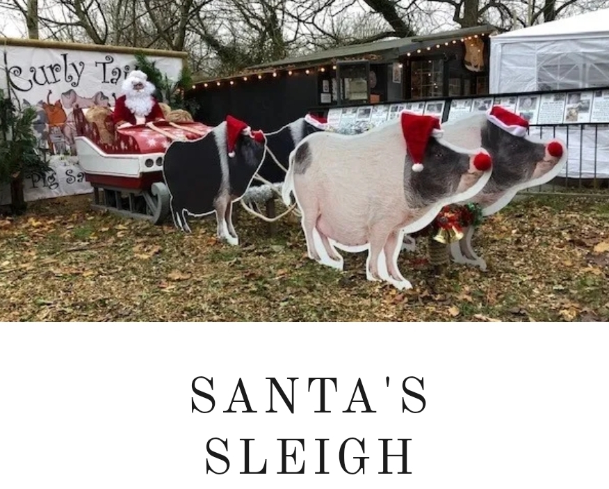 🎅🐷 Christmas with Santa & the Pigs 2024 at The Thatched House
19 Drayton Road, Newton Longville
MILTON KEYNES MK17 0BH
| Advance Booking, Animals, Baby/Toddlers, Christmas, Food/Drink, Fun, Indoor, Kids, Outdoor, Seasonal, SEN, Social, Ticket Event, Health & Wellbeing, Charity | Suitable for: Accessible, Children, Family, Free Parking, Parking Onsite, SEN, Toilets 🎅🐷 Christmas with Santa & the Pigs 2024 - Event Image 5 December 08, 2024 11:00 AM