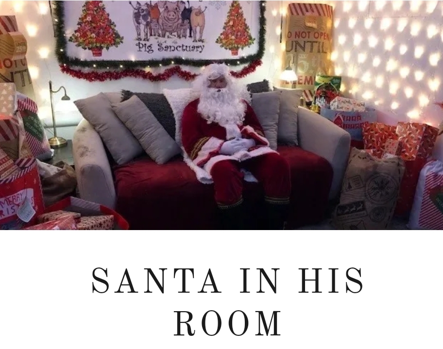 🎅🐷 Christmas with Santa & the Pigs 2024 at The Thatched House
19 Drayton Road, Newton Longville
MILTON KEYNES MK17 0BH
| Advance Booking, Animals, Baby/Toddlers, Christmas, Food/Drink, Fun, Indoor, Kids, Outdoor, Seasonal, SEN, Social, Ticket Event, Health & Wellbeing, Charity | Suitable for: Accessible, Children, Family, Free Parking, Parking Onsite, SEN, Toilets 🎅🐷 Christmas with Santa & the Pigs 2024 - Event Image 6 December 08, 2024 11:00 AM