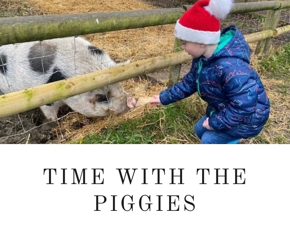 🎅🐷 Christmas with Santa & the Pigs 2024 at The Thatched House
19 Drayton Road, Newton Longville
MILTON KEYNES MK17 0BH
| Advance Booking, Animals, Baby/Toddlers, Christmas, Food/Drink, Fun, Indoor, Kids, Outdoor, Seasonal, SEN, Social, Ticket Event, Health & Wellbeing, Charity | Suitable for: Accessible, Children, Family, Free Parking, Parking Onsite, SEN, Toilets 🎅🐷 Christmas with Santa & the Pigs 2024 - Event Image 9 December 08, 2024 11:00 AM