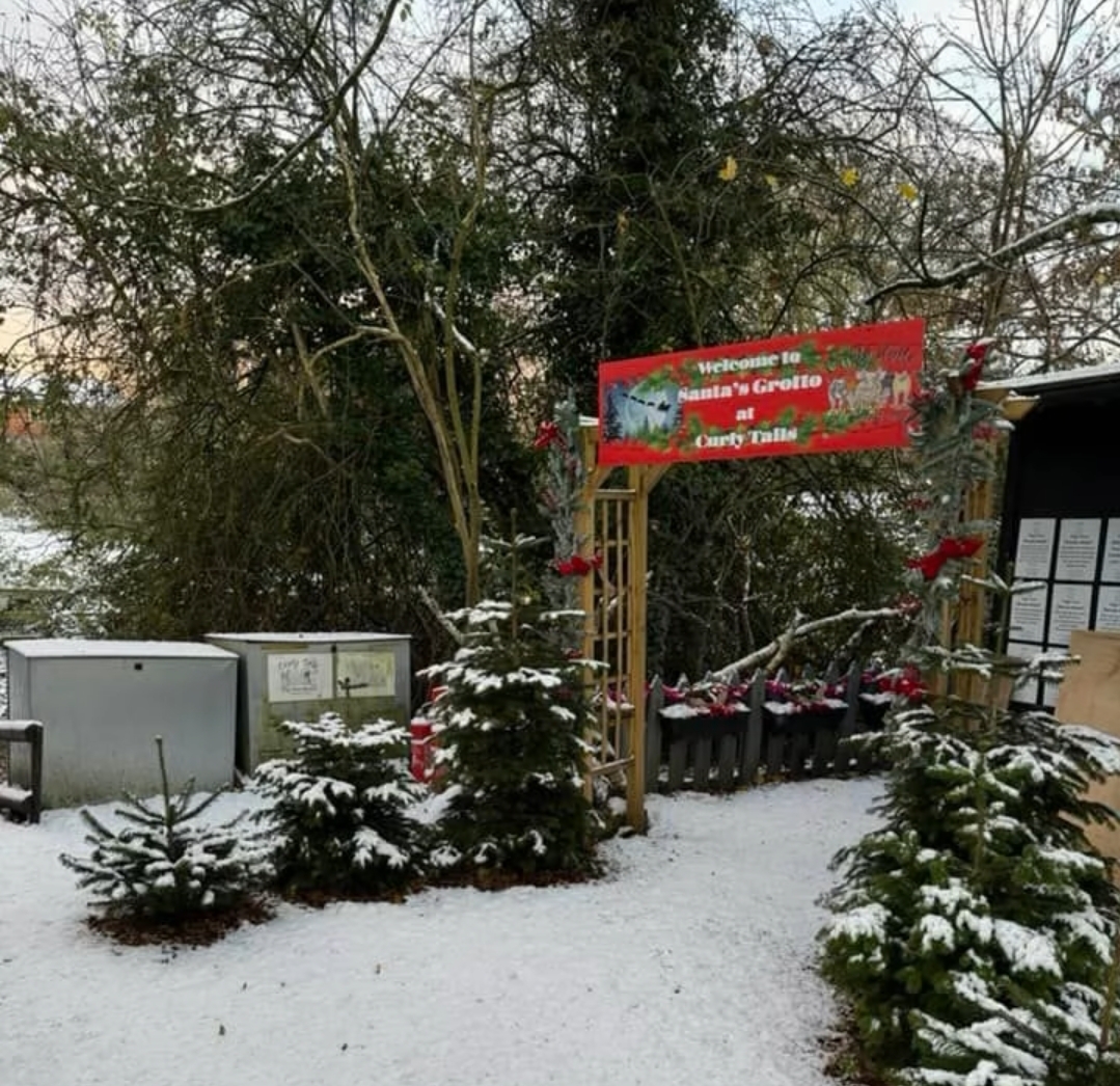 🎅🐷 Christmas with Santa & the Pigs 2024 at The Thatched House
19 Drayton Road, Newton Longville
MILTON KEYNES MK17 0BH
| Advance Booking, Animals, Baby/Toddlers, Christmas, Food/Drink, Fun, Indoor, Kids, Outdoor, Seasonal, SEN, Social, Ticket Event, Health & Wellbeing, Charity | Suitable for: Accessible, Children, Family, Free Parking, Parking Onsite, SEN, Toilets 🎅🐷 Christmas with Santa & the Pigs 2024 - Event Image 10 December 08, 2024 11:00 AM