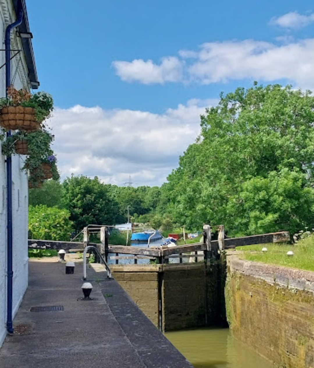 🎼 The BIG Sing Along 2024 at The Grove Lock in Leighton Buzzard  - Event Image 3 December 15, 2024 05:00 PM