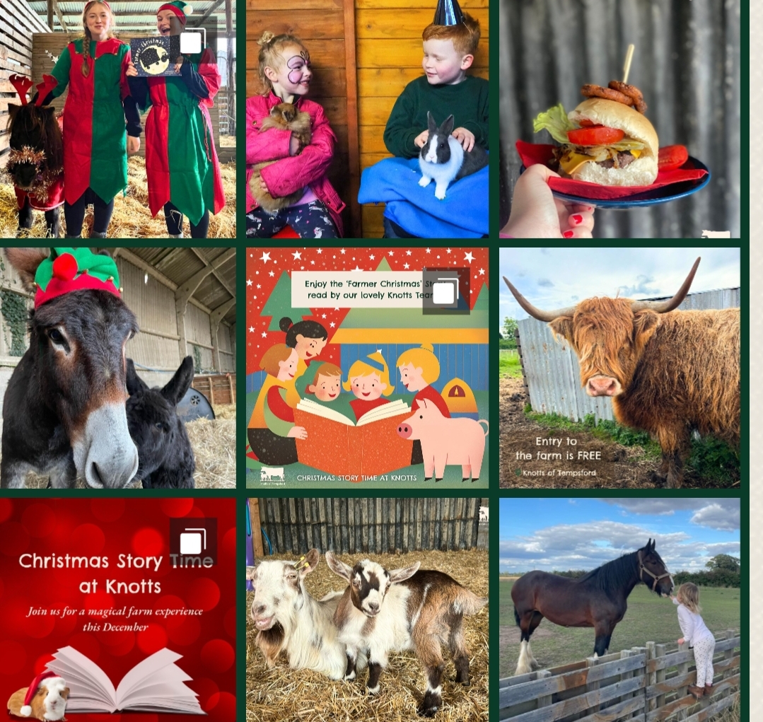 🐴📖 Knotts of Tempsford Christmas Story  - Event Image 2 December 07, 2024 02:15 PM