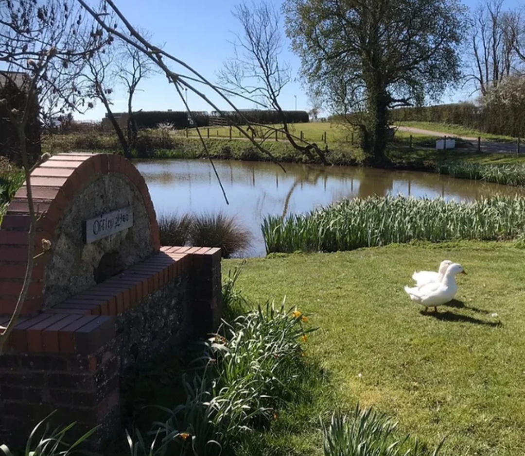🦆 Offley Hoo Farm Summer Fayre - Great Offley - Event Image 2 July 27, 2024 