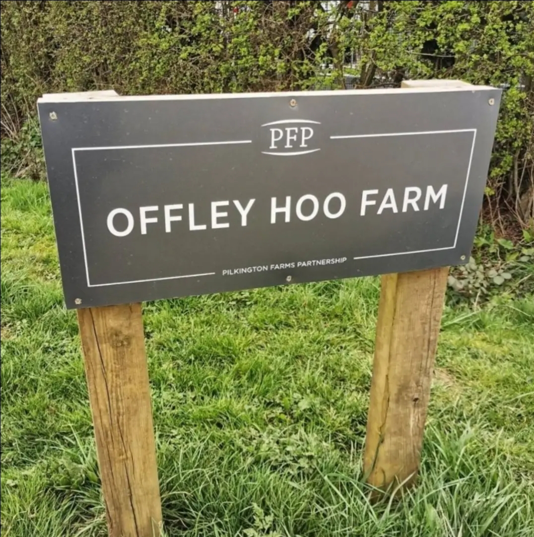 🦆 Offley Hoo Farm Summer Fayre - Great Offley - Event Image 3 July 27, 2024 