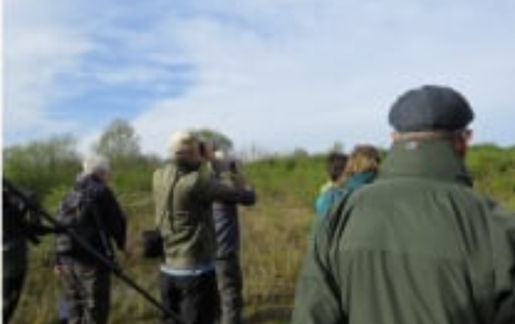 🐦 A Christmas Bird Walk at Marston Moretaine  - Event Image 2 December 28, 2024 08:00 AM