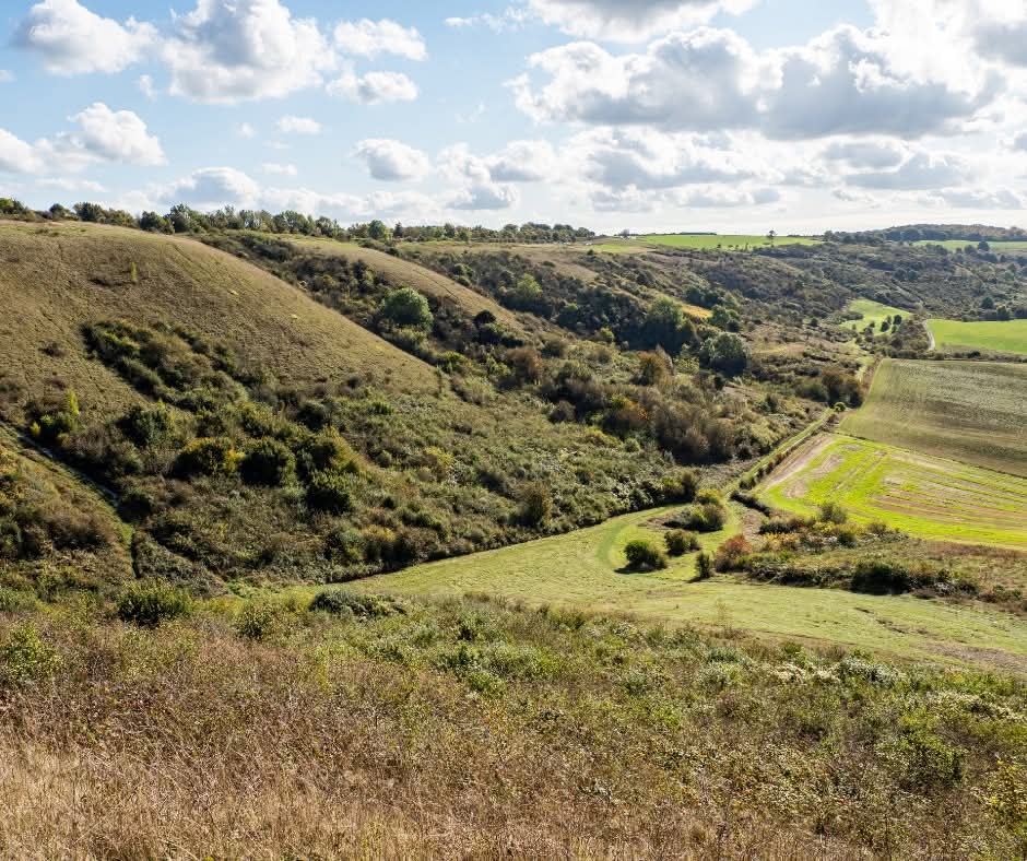 🚶‍♂️♿️ 🐶 Post-Christmas gentle stroll at Dunstable Downs 2024 - Event Image 3 December 29, 2024 10:30 AM