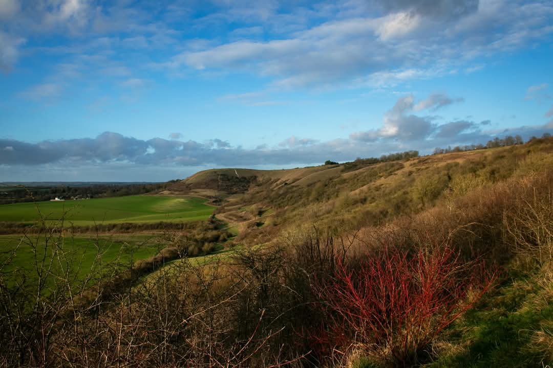 🍳 New Year's Day breakfast 2025 at Dunstable Downs at Chilterns Gateway Centre, B4541, Dunstable, LU6 2, United Kingdom | Suitable for: Accessible 🍳 New Year's Day breakfast 2025 at Dunstable Downs - Event Image 3 January 01, 2025