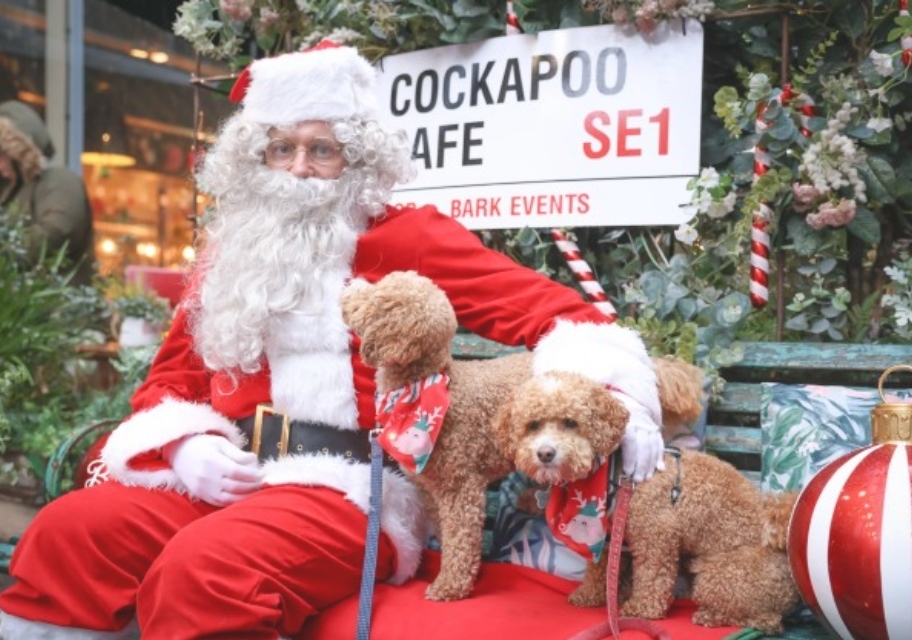 🎅🐶 COCKAPOO CAFE MILTON KEYNES - CHRISTMAS 2024 - Event Image 2 December 23, 2024 