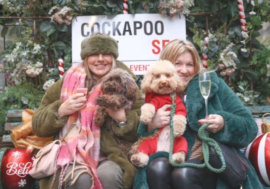 🎅🐶 COCKAPOO CAFE MILTON KEYNES - CHRISTMAS 2024 - Event Image 3 December 23, 2024 