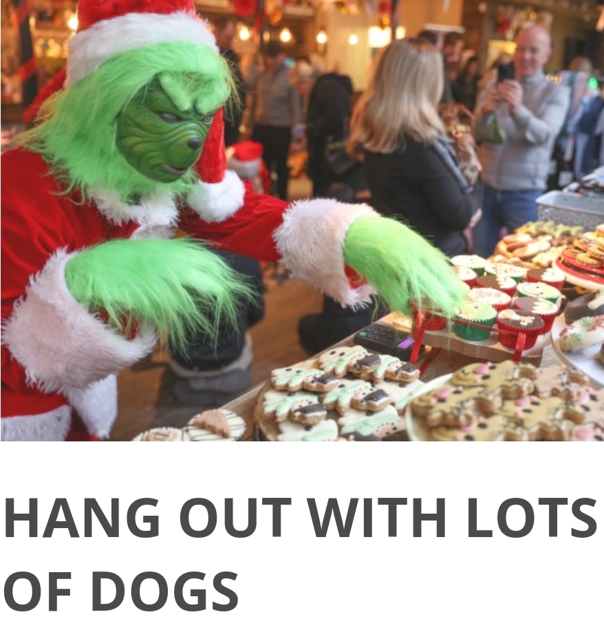 🎅🐶 COCKAPOO CAFE MILTON KEYNES - CHRISTMAS 2024 - Event Image 4 December 23, 2024 