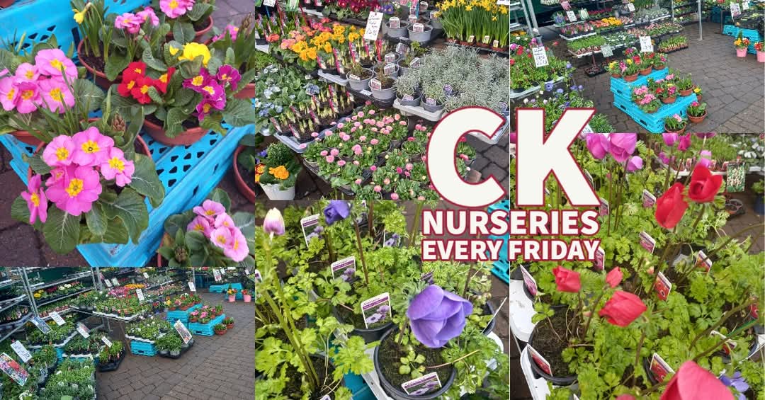 🛍 Flitwick Market - The final Friday Market for 2024  - Event Image 7 December 20, 2024 08:30 AM
