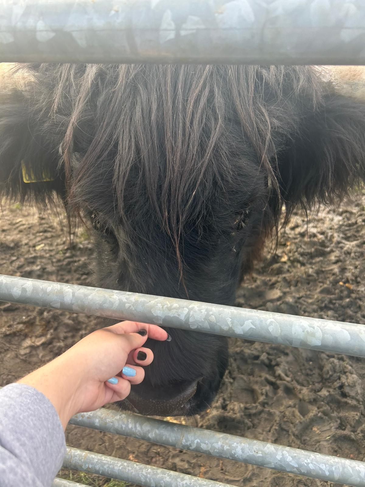 🐊 Johnsons of Old Hurst Zoo - An affordable zoo in Huntingdon not too far from Bedfordshire! 🌟 Whatsup Bedfordshire Recommended for 2024! at Johnsons of Old Hurst, Church St, Old Hurst, Huntingdon PE28 3AF
| Adults, Animals, Baby/Toddlers, Date Idea, Family, Food/Drink, Fun, Indoor, Kids, Low Cost, Outdoor, Play Area | Suitable for: Accessible, Blue Badge Parking, Children, Dog Friendly, Family, Free Parking, Toilets 🐊 Johnsons of Old Hurst Zoo - An affordable zoo in Huntingdon not too far from Bedfordshire! 🌟 Whatsup Bedfordshire Recommended for 2024! - Event Image 5 December 18, 2024 10:00 AM