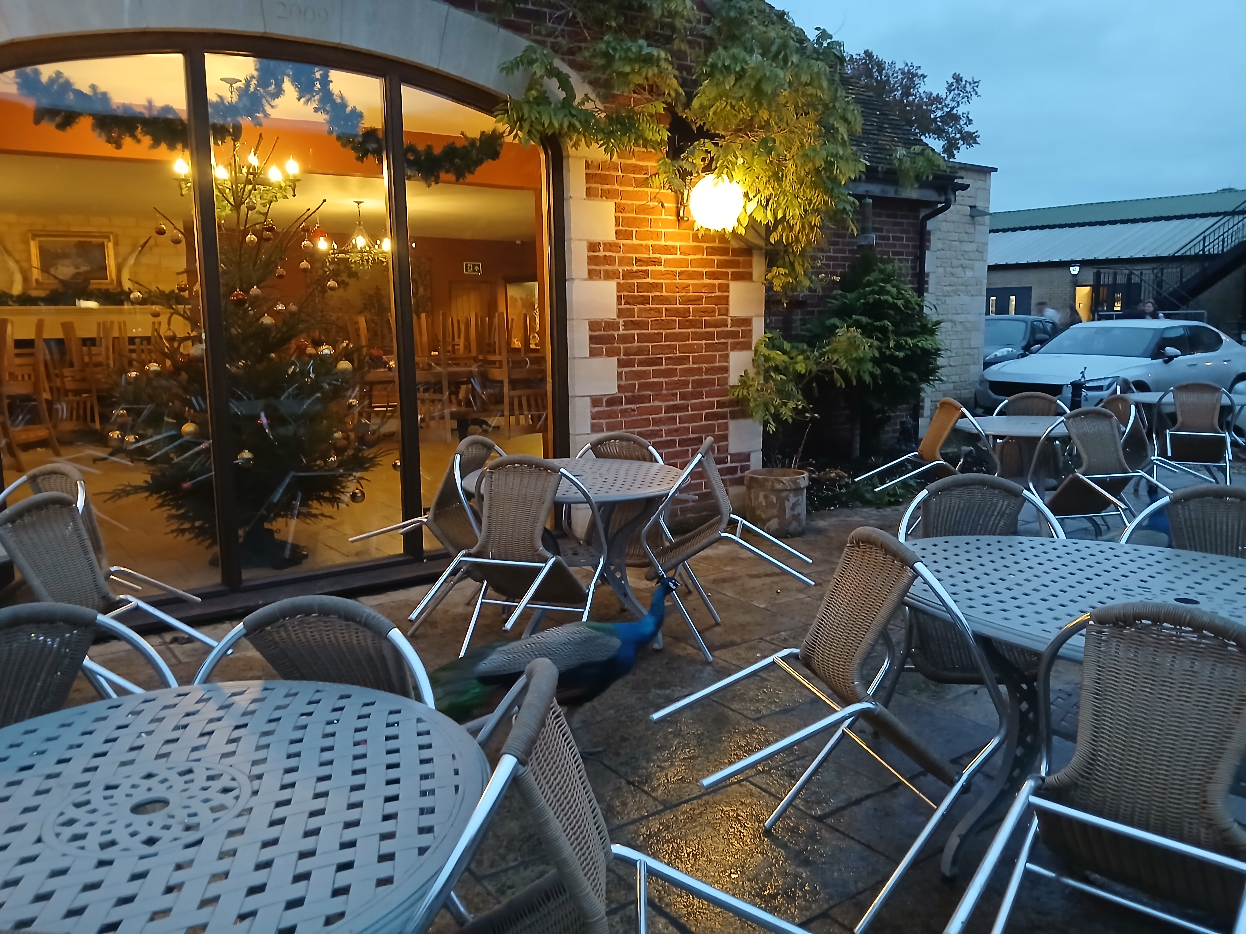 🐊 Johnsons of Old Hurst Zoo - An affordable zoo in Huntingdon not too far from Bedfordshire! 🌟 Whatsup Bedfordshire Recommended for 2024! at Johnsons of Old Hurst, Church St, Old Hurst, Huntingdon PE28 3AF
| Adults, Animals, Baby/Toddlers, Date Idea, Family, Food/Drink, Fun, Indoor, Kids, Low Cost, Outdoor, Play Area | Suitable for: Accessible, Blue Badge Parking, Children, Dog Friendly, Family, Free Parking, Toilets 🐊 Johnsons of Old Hurst Zoo - An affordable zoo in Huntingdon not too far from Bedfordshire! 🌟 Whatsup Bedfordshire Recommended for 2024! - Event Image 14 December 18, 2024 10:00 AM