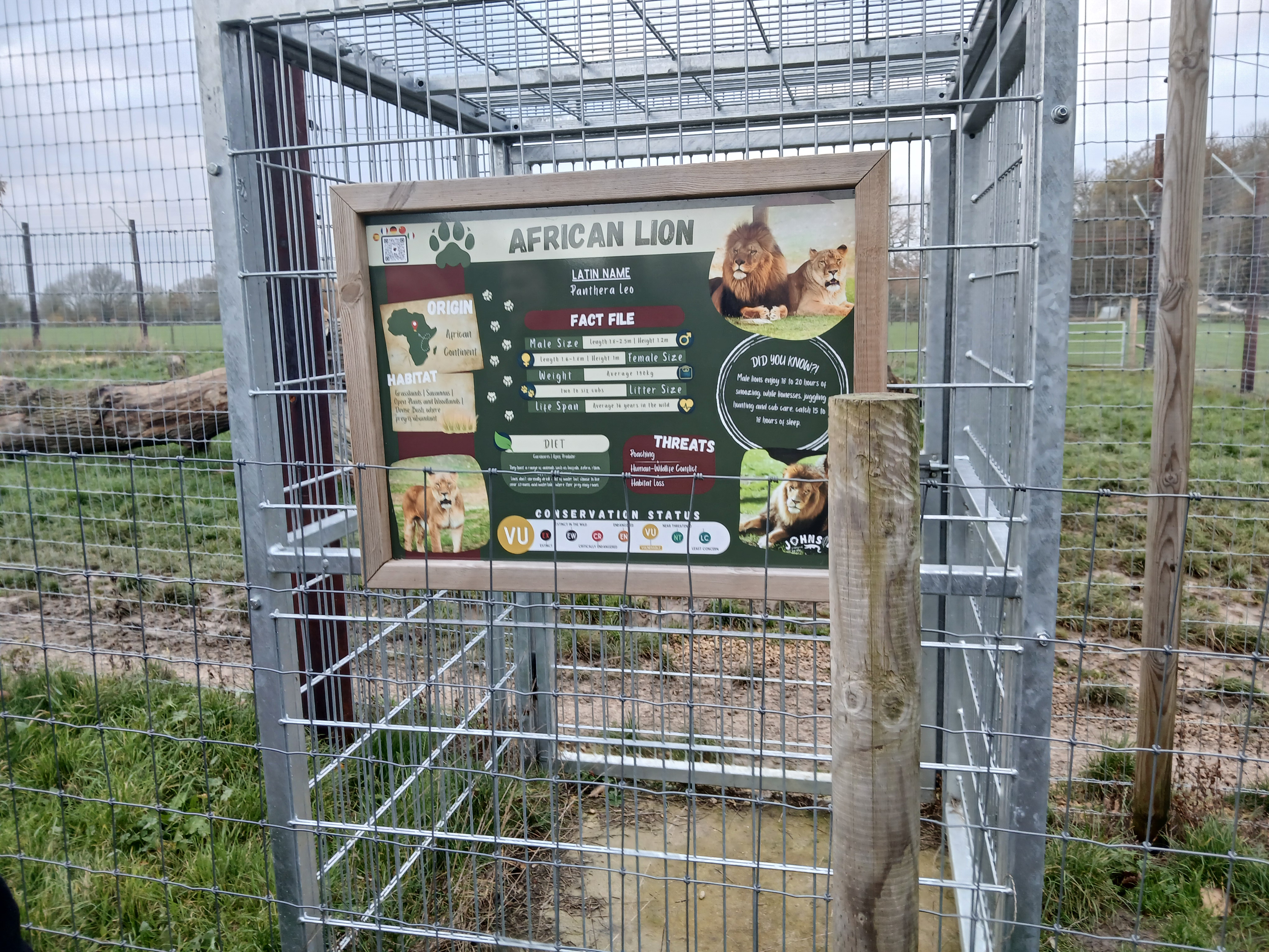 🐊 Johnsons of Old Hurst Zoo - An affordable zoo in Huntingdon not too far from Bedfordshire! 🌟 Whatsup Bedfordshire Recommended for 2024! at Johnsons of Old Hurst, Church St, Old Hurst, Huntingdon PE28 3AF
| Adults, Animals, Baby/Toddlers, Date Idea, Family, Food/Drink, Fun, Indoor, Kids, Low Cost, Outdoor, Play Area | Suitable for: Accessible, Blue Badge Parking, Children, Dog Friendly, Family, Free Parking, Toilets 🐊 Johnsons of Old Hurst Zoo - An affordable zoo in Huntingdon not too far from Bedfordshire! 🌟 Whatsup Bedfordshire Recommended for 2024! - Event Image 22 December 18, 2024 10:00 AM