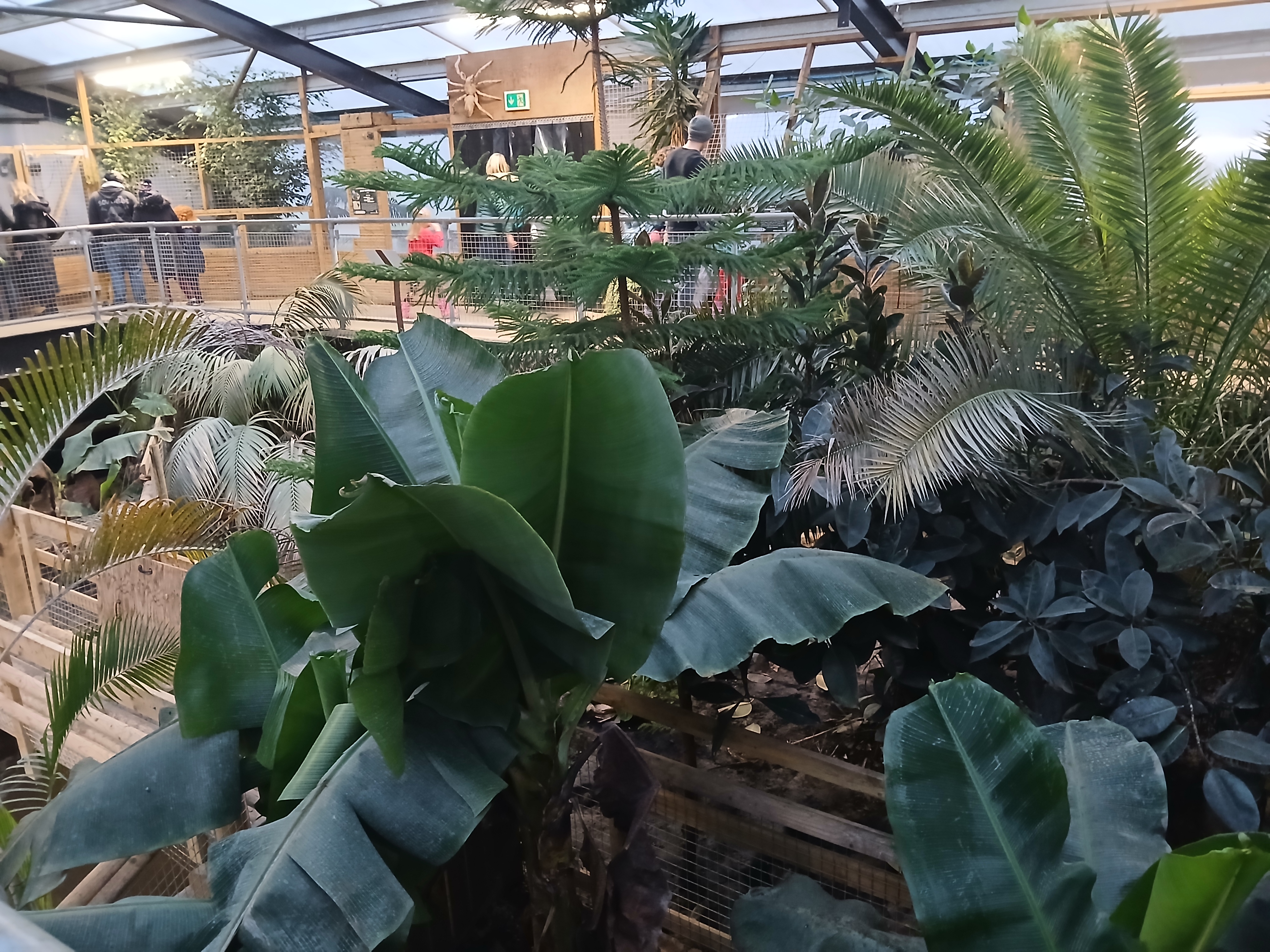 🐊 Johnsons of Old Hurst Zoo - An affordable zoo in Huntingdon not too far from Bedfordshire! 🌟 Whatsup Bedfordshire Recommended for 2024! at Johnsons of Old Hurst, Church St, Old Hurst, Huntingdon PE28 3AF
| Adults, Animals, Baby/Toddlers, Date Idea, Family, Food/Drink, Fun, Indoor, Kids, Low Cost, Outdoor, Play Area | Suitable for: Accessible, Blue Badge Parking, Children, Dog Friendly, Family, Free Parking, Toilets 🐊 Johnsons of Old Hurst Zoo - An affordable zoo in Huntingdon not too far from Bedfordshire! 🌟 Whatsup Bedfordshire Recommended for 2024! - Event Image 28 December 18, 2024 10:00 AM
