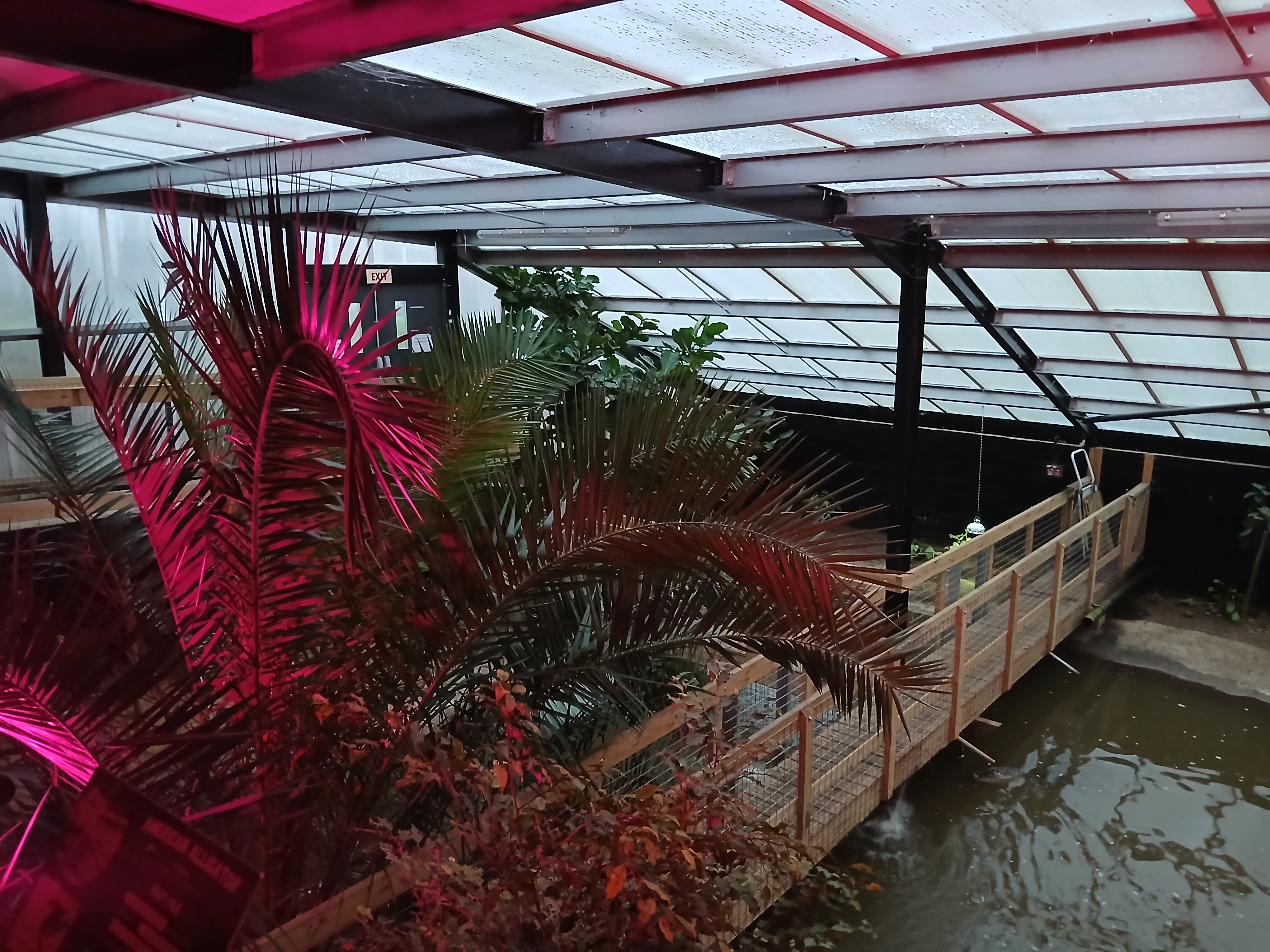 🐊 Johnsons of Old Hurst Zoo - An affordable zoo in Huntingdon not too far from Bedfordshire! 🌟 Whatsup Bedfordshire Recommended for 2024! at Johnsons of Old Hurst, Church St, Old Hurst, Huntingdon PE28 3AF
| Adults, Animals, Baby/Toddlers, Date Idea, Family, Food/Drink, Fun, Indoor, Kids, Low Cost, Outdoor, Play Area | Suitable for: Accessible, Blue Badge Parking, Children, Dog Friendly, Family, Free Parking, Toilets 🐊 Johnsons of Old Hurst Zoo - An affordable zoo in Huntingdon not too far from Bedfordshire! 🌟 Whatsup Bedfordshire Recommended for 2024! - Event Image 30 December 18, 2024 10:00 AM