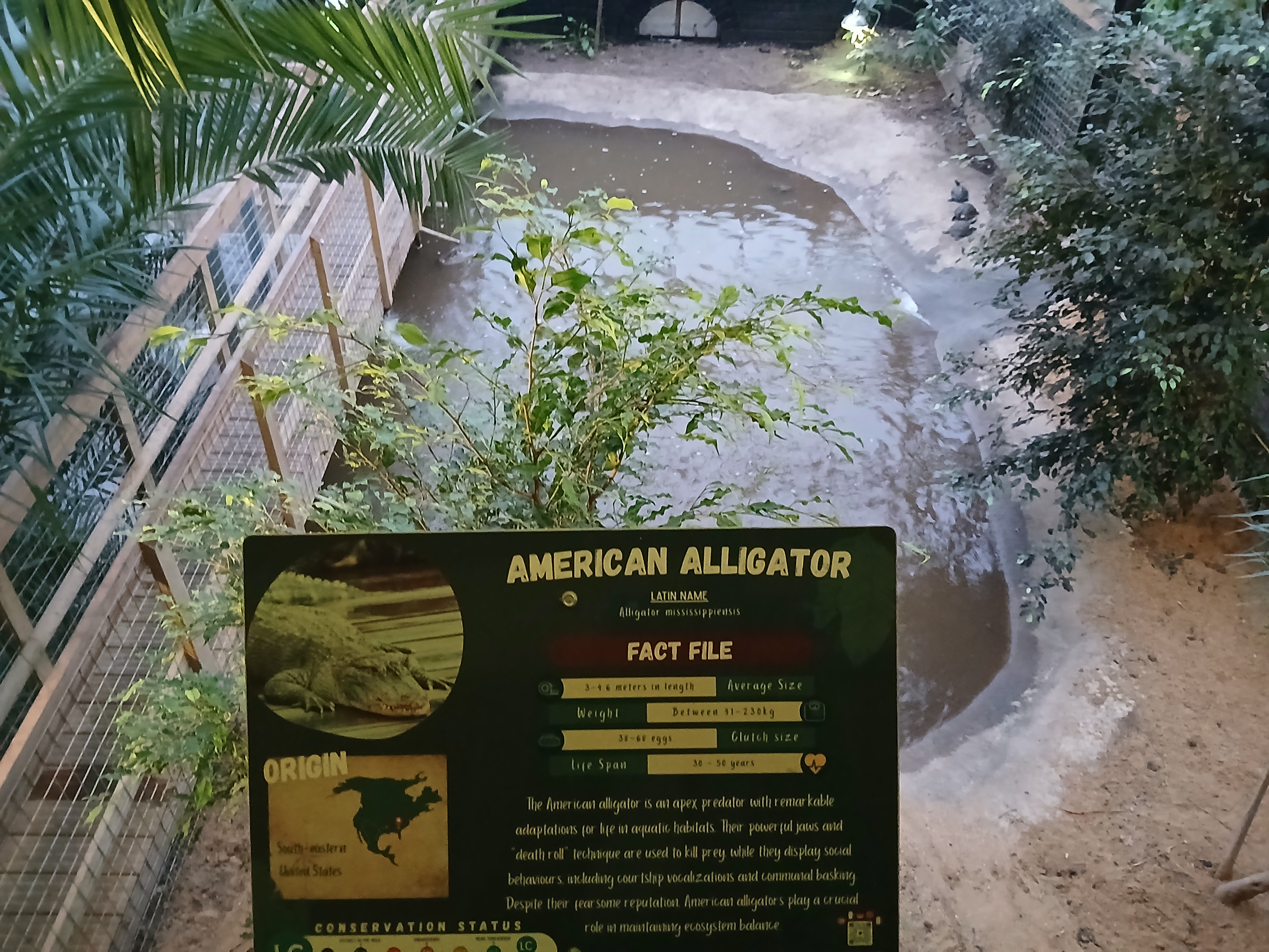 🐊 Johnsons of Old Hurst Zoo - An affordable zoo in Huntingdon not too far from Bedfordshire! 🌟 Whatsup Bedfordshire Recommended for 2024! at Johnsons of Old Hurst, Church St, Old Hurst, Huntingdon PE28 3AF
| Adults, Animals, Baby/Toddlers, Date Idea, Family, Food/Drink, Fun, Indoor, Kids, Low Cost, Outdoor, Play Area | Suitable for: Accessible, Blue Badge Parking, Children, Dog Friendly, Family, Free Parking, Toilets 🐊 Johnsons of Old Hurst Zoo - An affordable zoo in Huntingdon not too far from Bedfordshire! 🌟 Whatsup Bedfordshire Recommended for 2024! - Event Image 32 December 18, 2024 10:00 AM