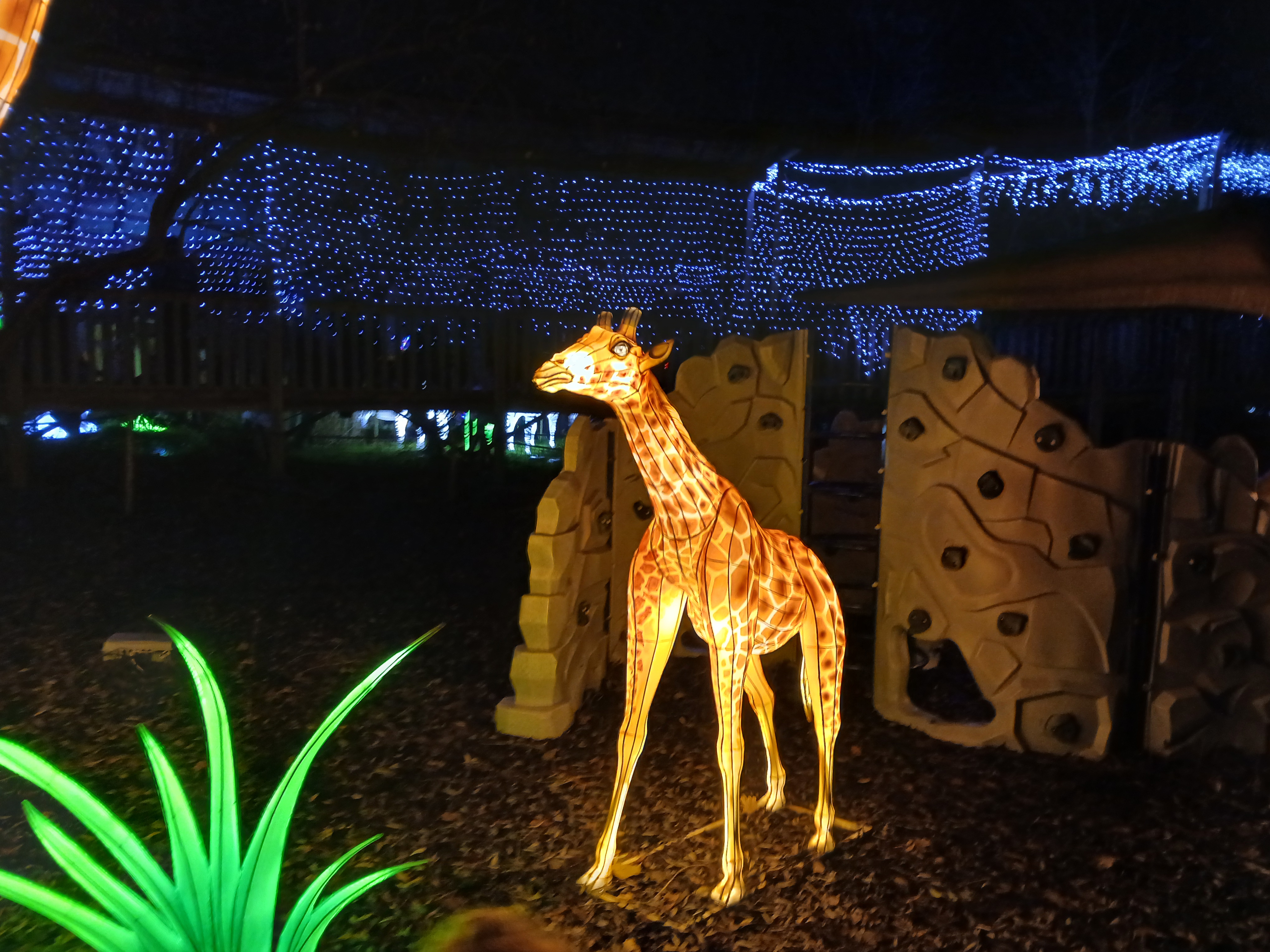 🌟 Land of Lights Milton Keynes 2025 - Event Image 4 January 25, 2025 