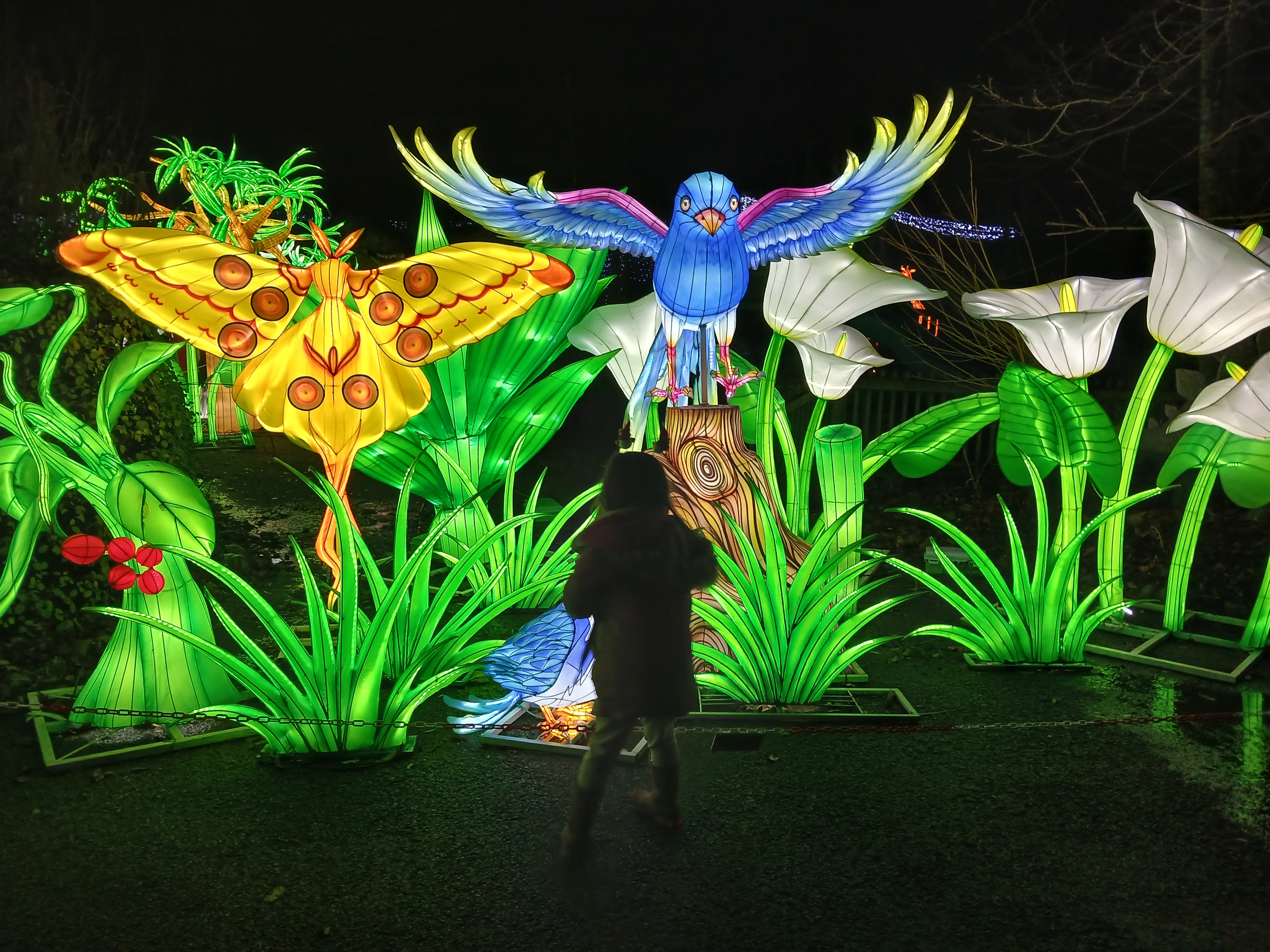 🌟 Land of Lights Milton Keynes 2025 - Event Image 6 January 25, 2025 