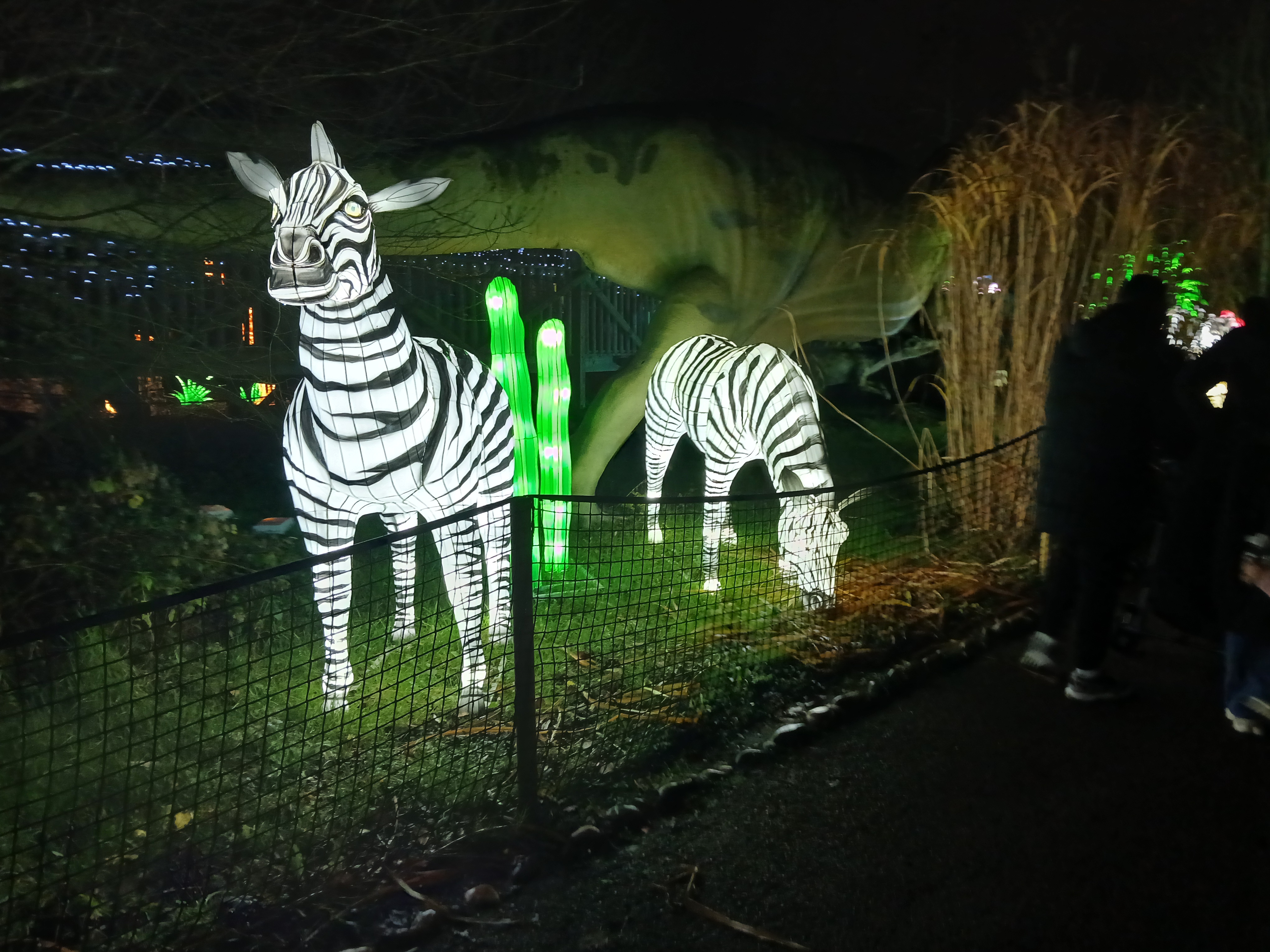 🌟 Land of Lights Milton Keynes 2025 - Event Image 7 January 25, 2025 