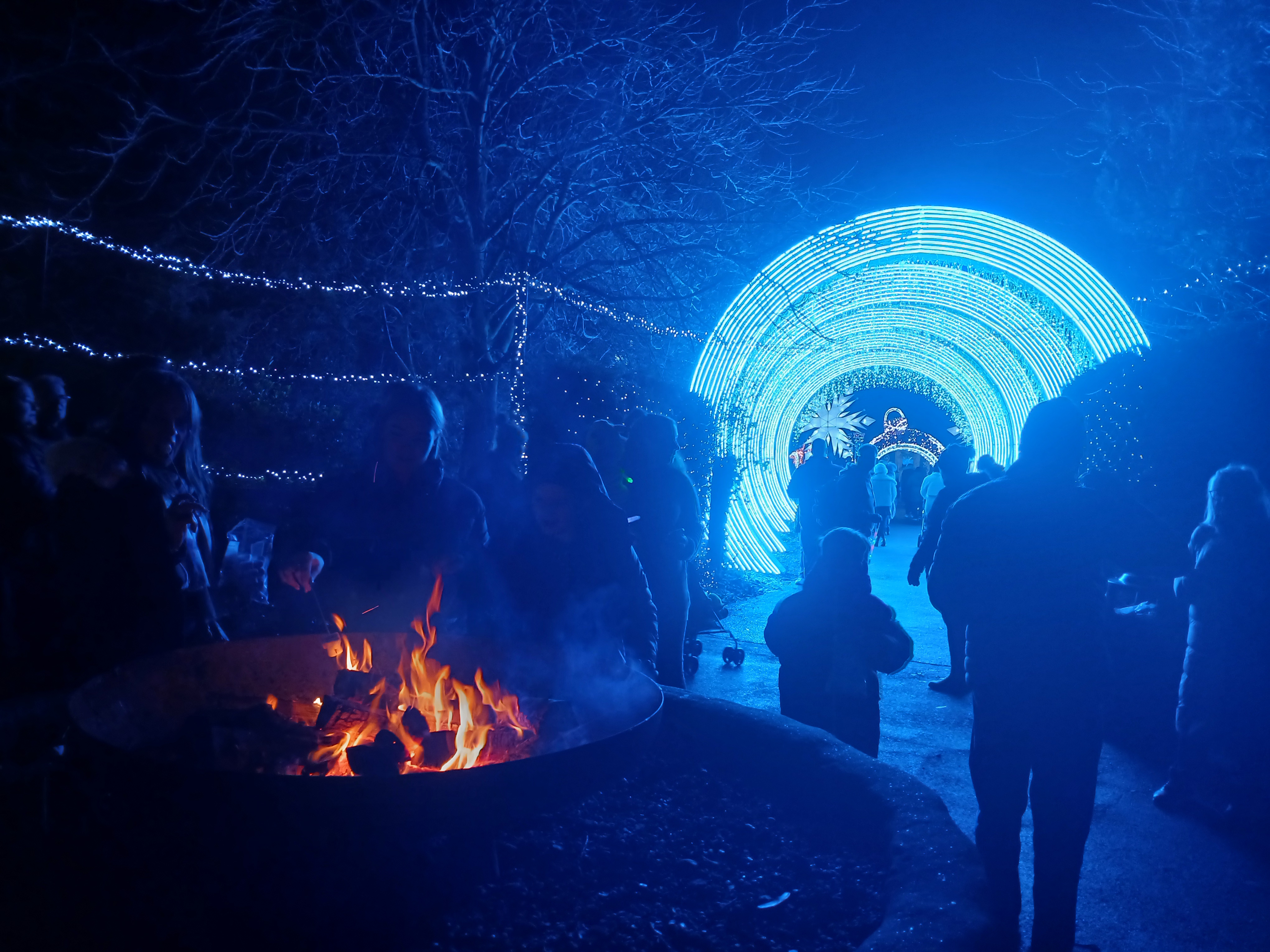 🌟 Land of Lights Milton Keynes 2025 - Event Image 10 January 25, 2025 
