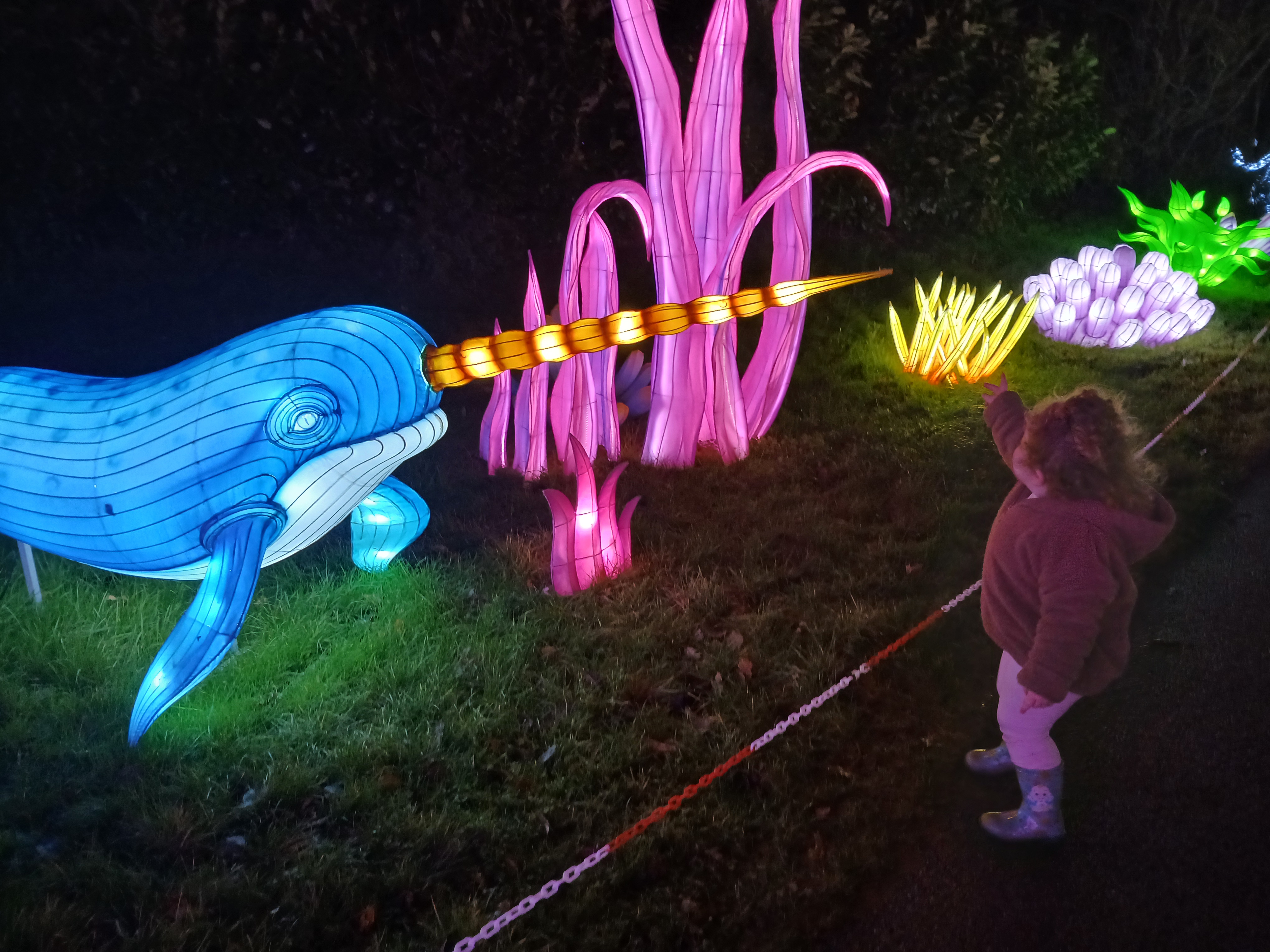 🌟 Land of Lights Milton Keynes 2025 - Event Image 16 January 25, 2025 