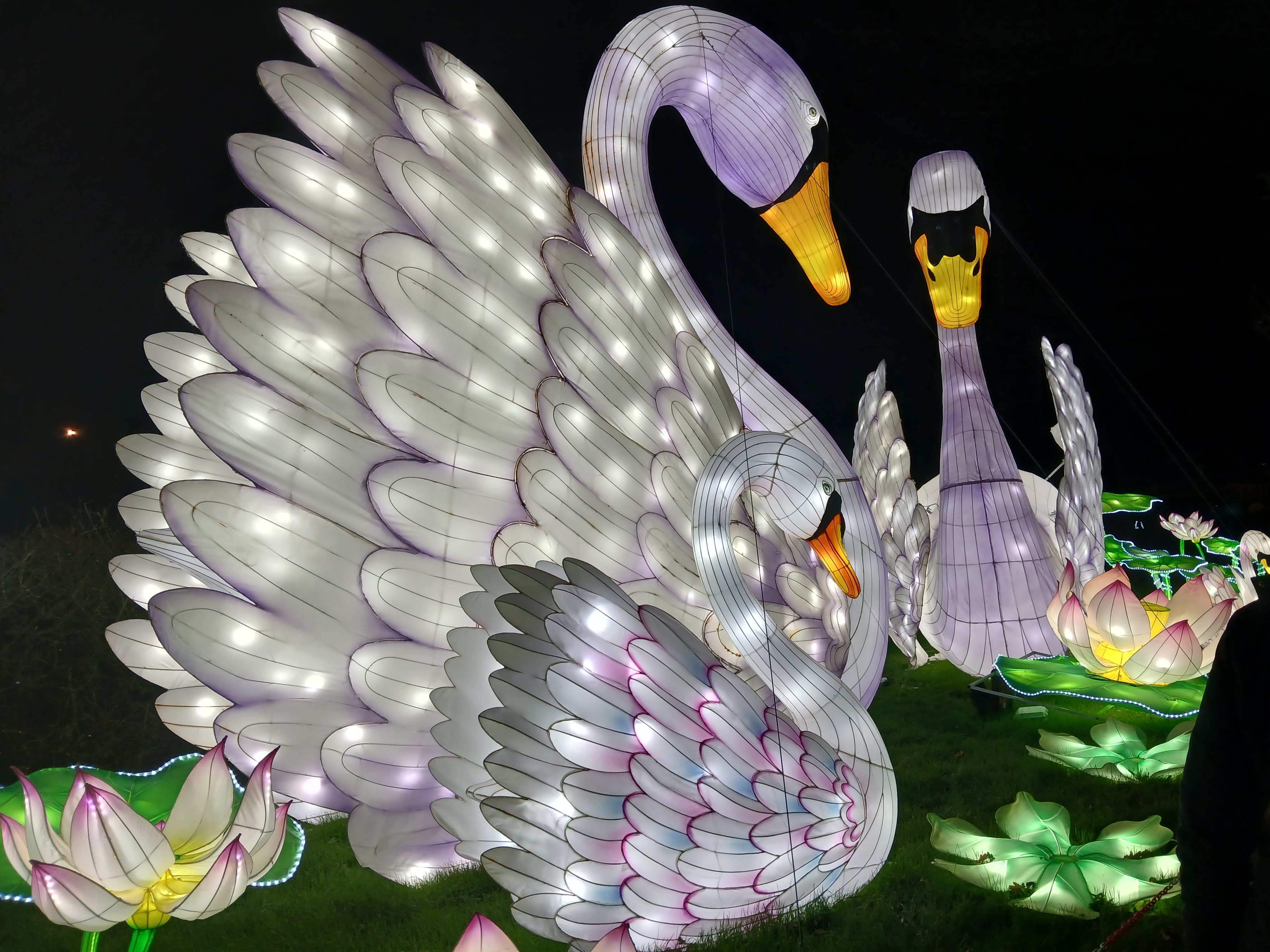 🌟 Land of Lights Milton Keynes 2025 - Event Image 18 January 25, 2025 
