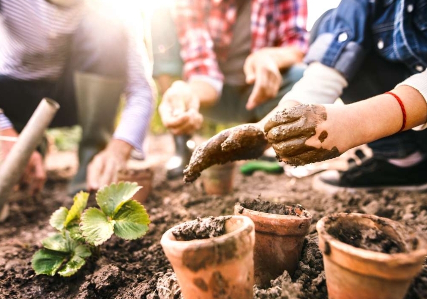 🌻FREE TO JOIN KIDS CLUB AT FROSTS GARDEN CENTRE'S | Categories: Attractions, Food & Drink, Online, Stores 🌻FREE TO JOIN KIDS CLUB AT FROSTS GARDEN CENTRE'S - $0.00