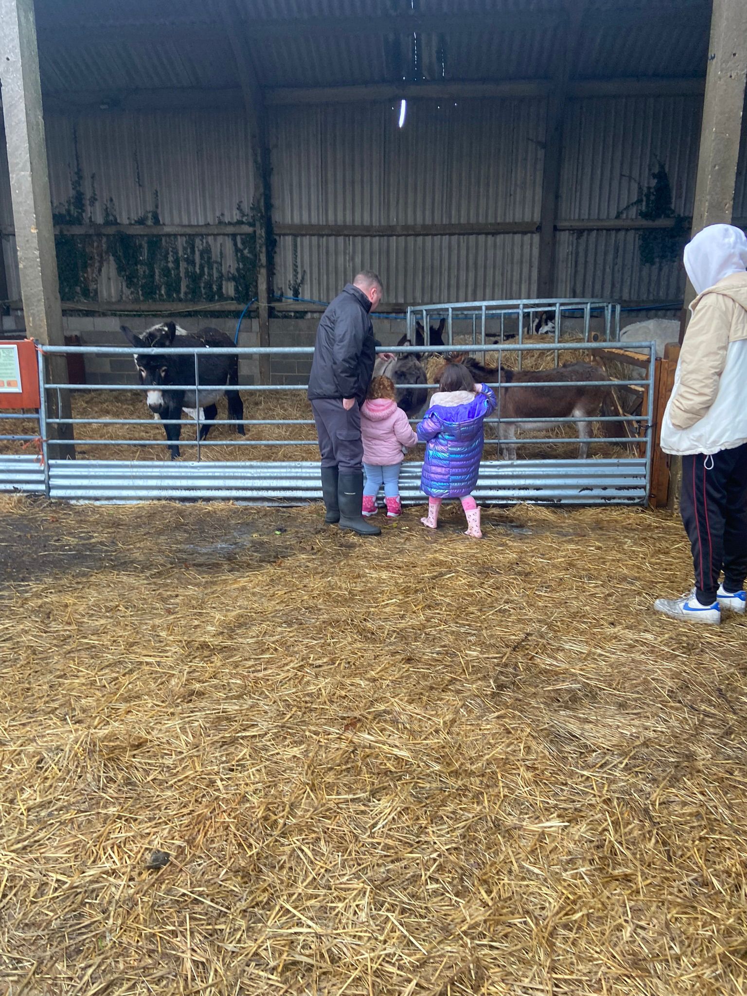 🐷 FREE ENTRY FARM - Knotts of Tempsford 2025 at Knotts of Tempsford, Station Road, Tempsford, SG19 2AY | Advance Booking, Animals, Attractions, Baby/Toddlers, Family, Food/Drink, Free Entry, Fun, Kids, Outdoor, Play Area, Seasonal, Tickets | Suitable for: Children, Family, Toilets, Free Parking, Parking Onsite 🐷 FREE ENTRY FARM - Knotts of Tempsford 2025 - Event Image 8 January 11, 2025 09:00 AM