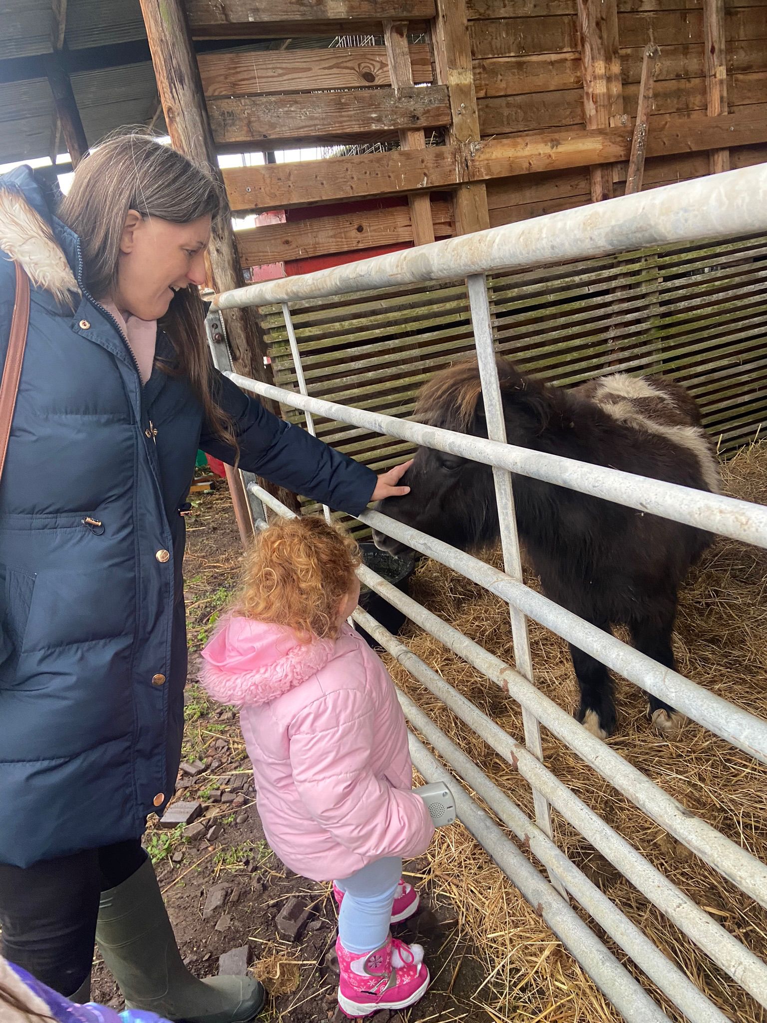 🐷 FREE ENTRY FARM - Knotts of Tempsford 2025 at Knotts of Tempsford, Station Road, Tempsford, SG19 2AY | Advance Booking, Animals, Attractions, Baby/Toddlers, Family, Food/Drink, Free Entry, Fun, Kids, Outdoor, Play Area, Seasonal, Tickets | Suitable for: Children, Family, Toilets, Free Parking, Parking Onsite 🐷 FREE ENTRY FARM - Knotts of Tempsford 2025 - Event Image 9 January 11, 2025 09:00 AM