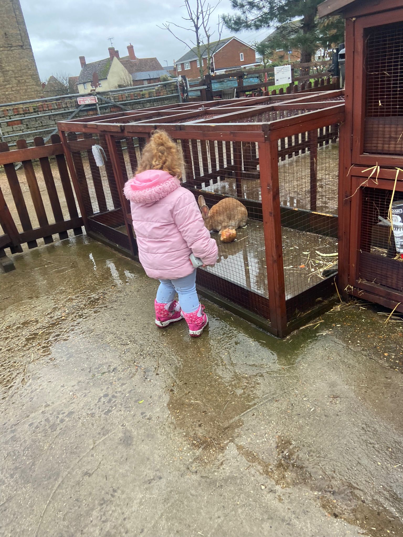 🐷 FREE ENTRY FARM - Knotts of Tempsford 2025 at Knotts of Tempsford, Station Road, Tempsford, SG19 2AY | Advance Booking, Animals, Attractions, Baby/Toddlers, Family, Food/Drink, Free Entry, Fun, Kids, Outdoor, Play Area, Seasonal, Tickets | Suitable for: Children, Family, Toilets, Free Parking, Parking Onsite 🐷 FREE ENTRY FARM - Knotts of Tempsford 2025 - Event Image 10 January 11, 2025 09:00 AM