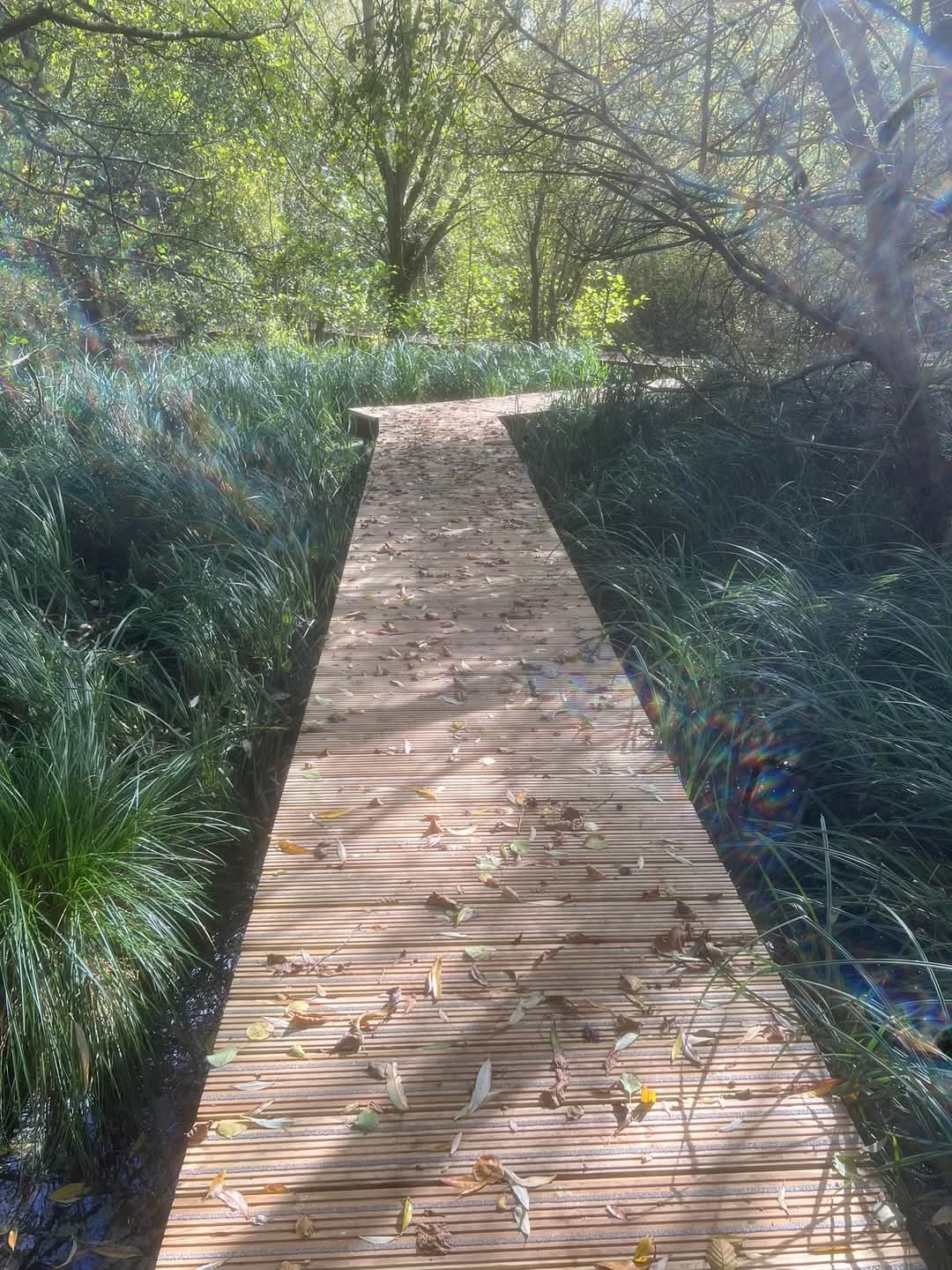 🚶♂️🌳🐦⬛An idea for a place to go for a Sunday walk in Bedfordshire. 🙋♀️FREE ☁️FRESH AIR 🌳NATURE 😌MENTAL HEALTH at Stotfold Watermill & Nature Reserve, Mill Lane, Stotfold, Hitchin SG5 4NU England | Adults, Date Idea, Family, Free, Health & Wellbeing, Outdoor, Parks, Scenic | Suitable for: Children, Dog Friendly, Family, Free Parking, Parking Onsite 🚶♂️🌳🐦⬛An idea for a place to go for a Sunday walk in Bedfordshire. 🙋♀️FREE ☁️FRESH AIR 🌳NATURE 😌MENTAL HEALTH - Event Image 3 January 12, 2025