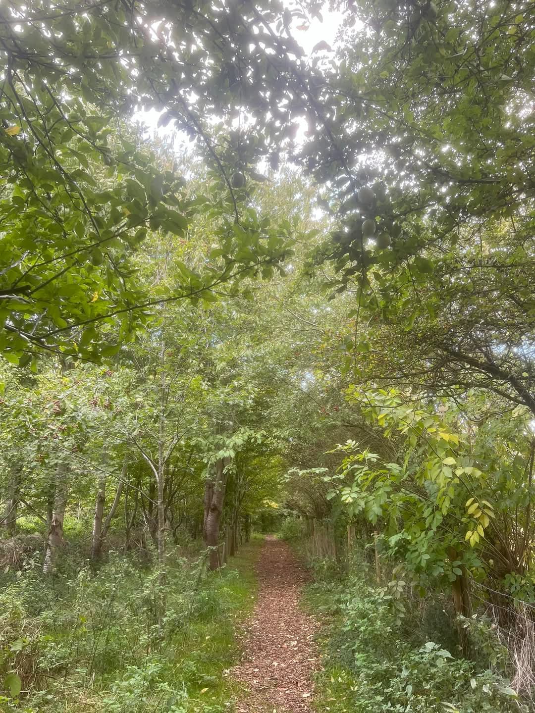 🚶♂️🌳🐦⬛An idea for a place to go for a Sunday walk in Bedfordshire. 🙋♀️FREE ☁️FRESH AIR 🌳NATURE 😌MENTAL HEALTH at Stotfold Watermill & Nature Reserve, Mill Lane, Stotfold, Hitchin SG5 4NU England | Adults, Date Idea, Family, Free, Health & Wellbeing, Outdoor, Parks, Scenic | Suitable for: Children, Dog Friendly, Family, Free Parking, Parking Onsite 🚶♂️🌳🐦⬛An idea for a place to go for a Sunday walk in Bedfordshire. 🙋♀️FREE ☁️FRESH AIR 🌳NATURE 😌MENTAL HEALTH - Event Image 5 January 12, 2025