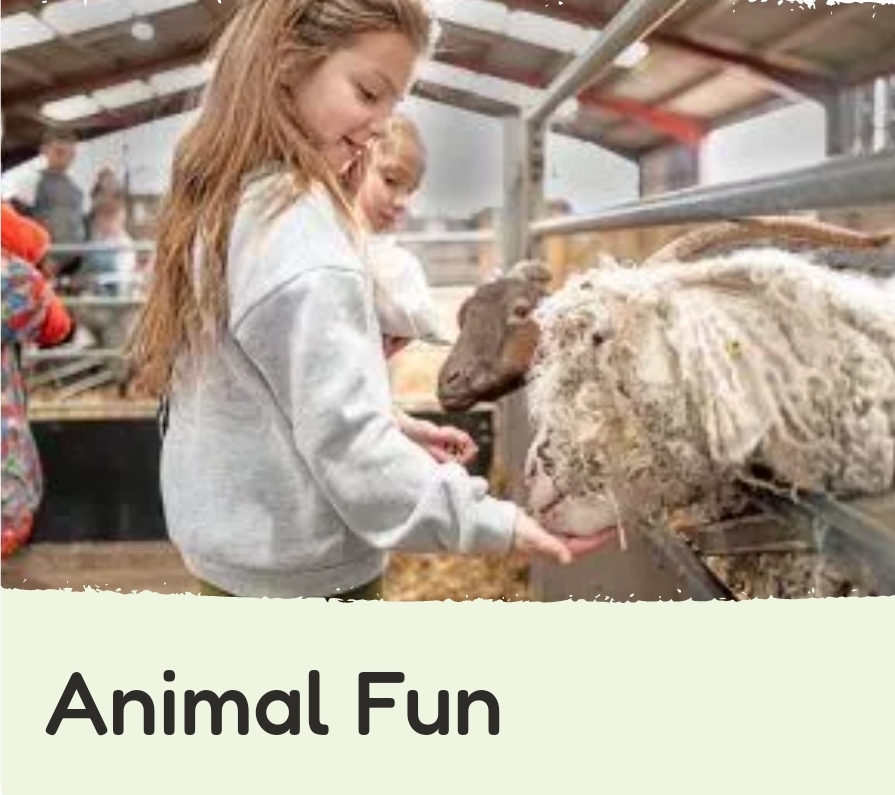 🐷 Kids go FREE with every paying adult at Mead Open Farm 2025! at Mead Open Farm Stanbridge Road,
Billington, Bedfordshire, LU7 9JH | Advance Booking, Animals, Baby/Toddlers, Education, Family, Food/Drink, Fun, Indoor, Kids, Outdoor, Play Area, Rainy Days, Recurring, Ticket Event | Suitable for: Accessible, Baby Changing, Children, Family, Free Parking, Parking Onsite, Toilets 🐷 Kids go FREE with every paying adult at Mead Open Farm 2025! - Event Image 4 January 11, 2025 10:00 AM