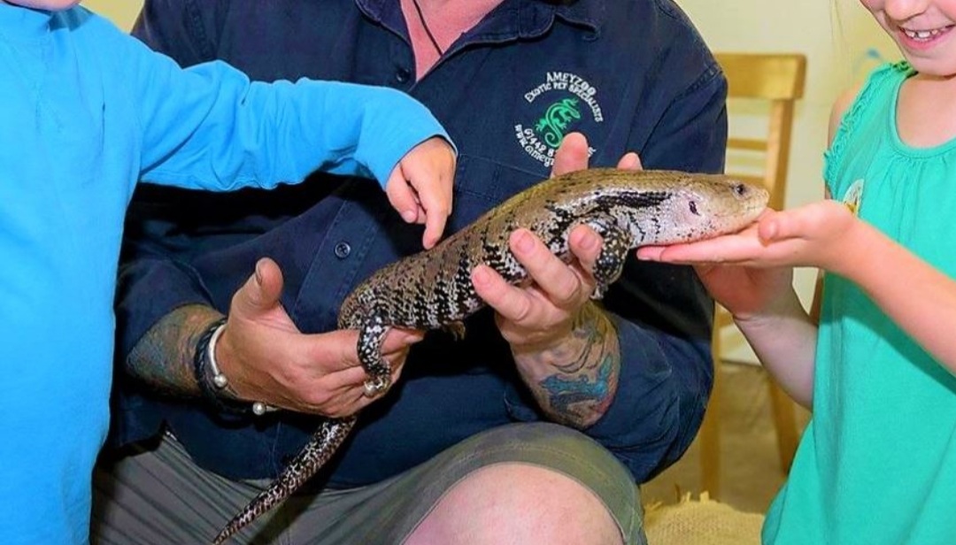 🦎 Creepy Critters & Entry into Standalone Farm - August 05, 2024  at Standalone Farm, Wilbury Road,
Letchworth Garden City
SG6 4JN