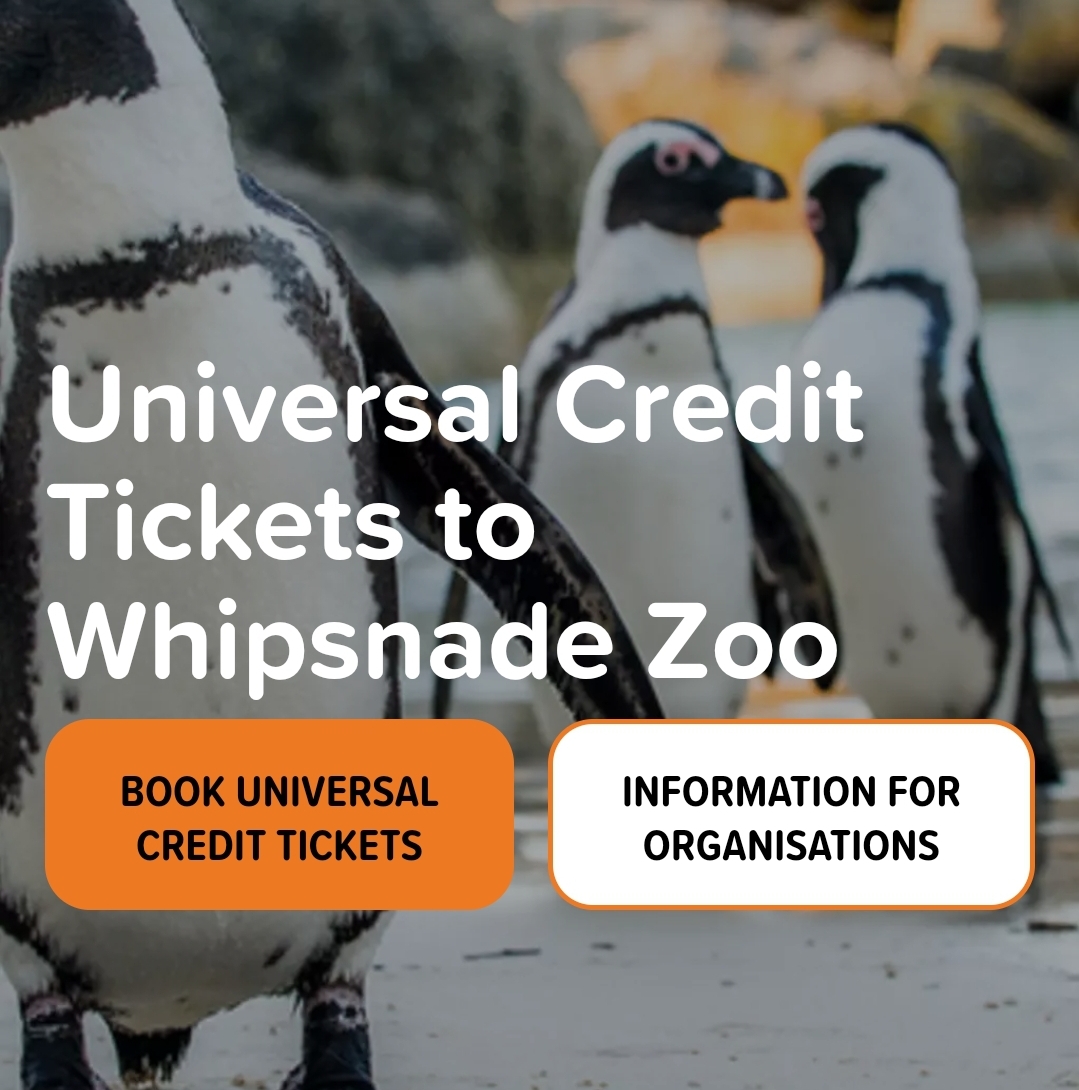 🐒 Universal Credit Whipsnade Zoo Low Cost Prices untill 31th August 2025!! | Categories: Attractions, Online 🐒 Universal Credit Whipsnade Zoo Low Cost Prices untill 31th August 2025!! - Valid from January 03, 2025 until August 31, 2025