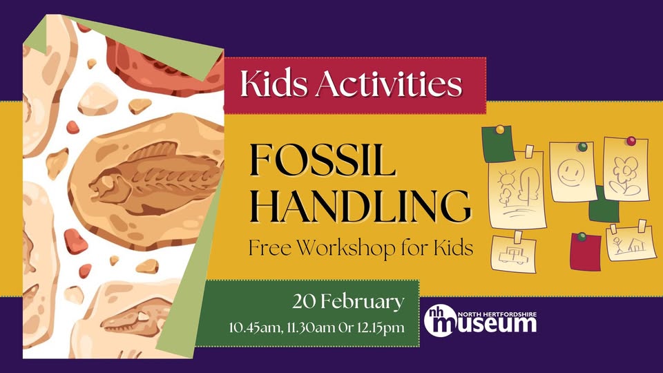 🪨 Fossil Handling - Free Kids Workshop in Hitchin - February 20, 2025  at North Hertfordshire Museum, Brand Street, HITCHIN, Herts SG5 1JE